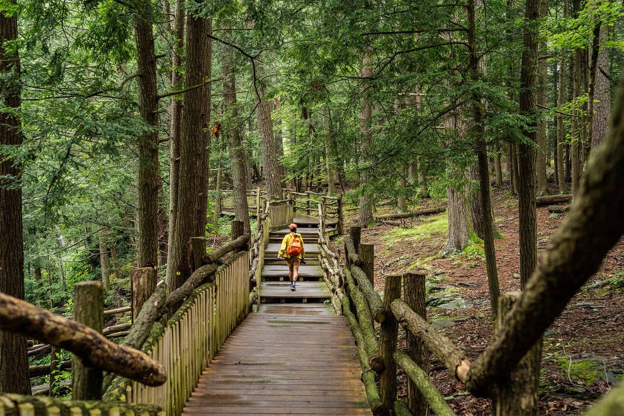 Best Hiking Trails in the Poconos for Spring