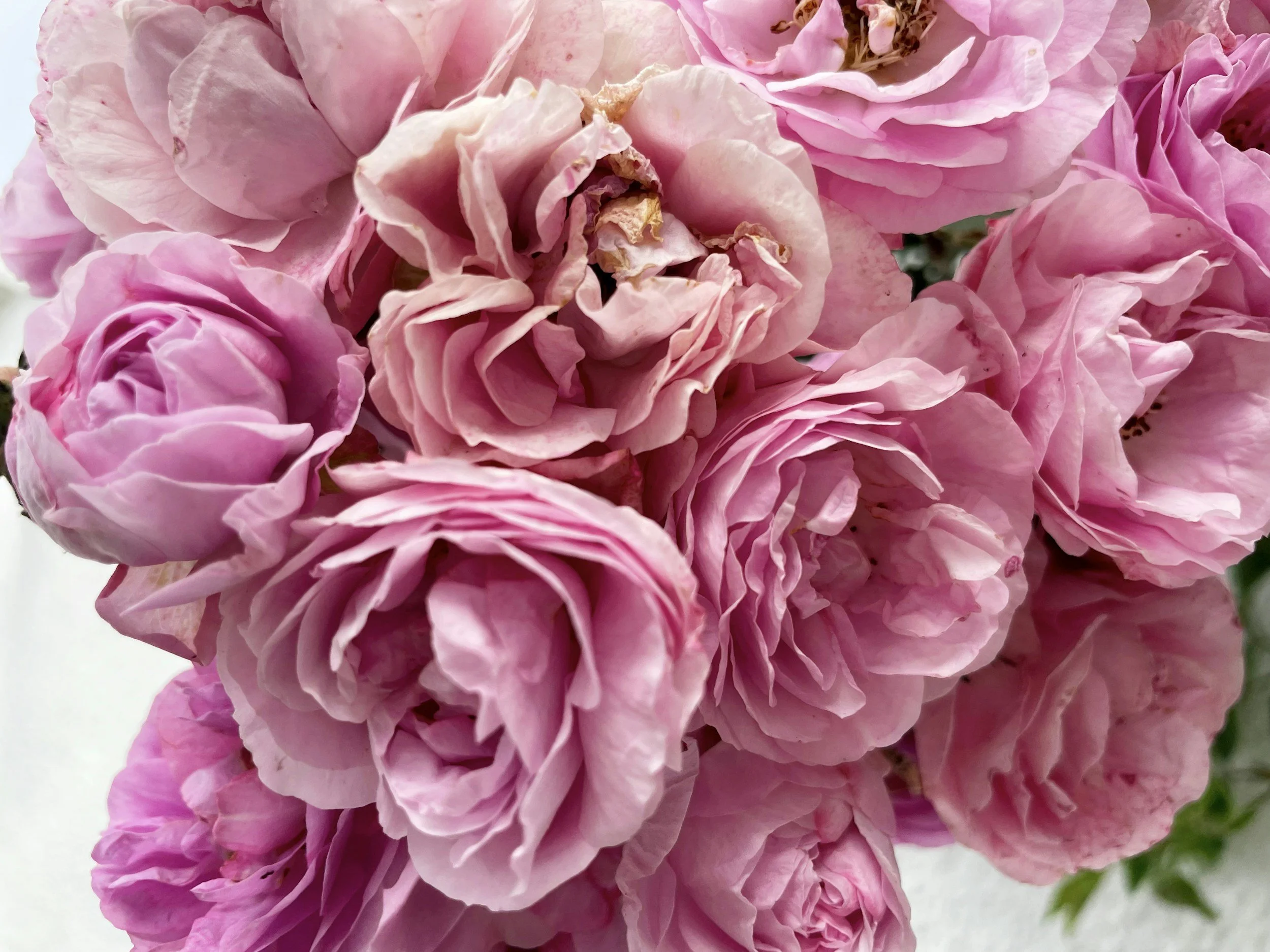 James Lane Post: Embracing the Light Within