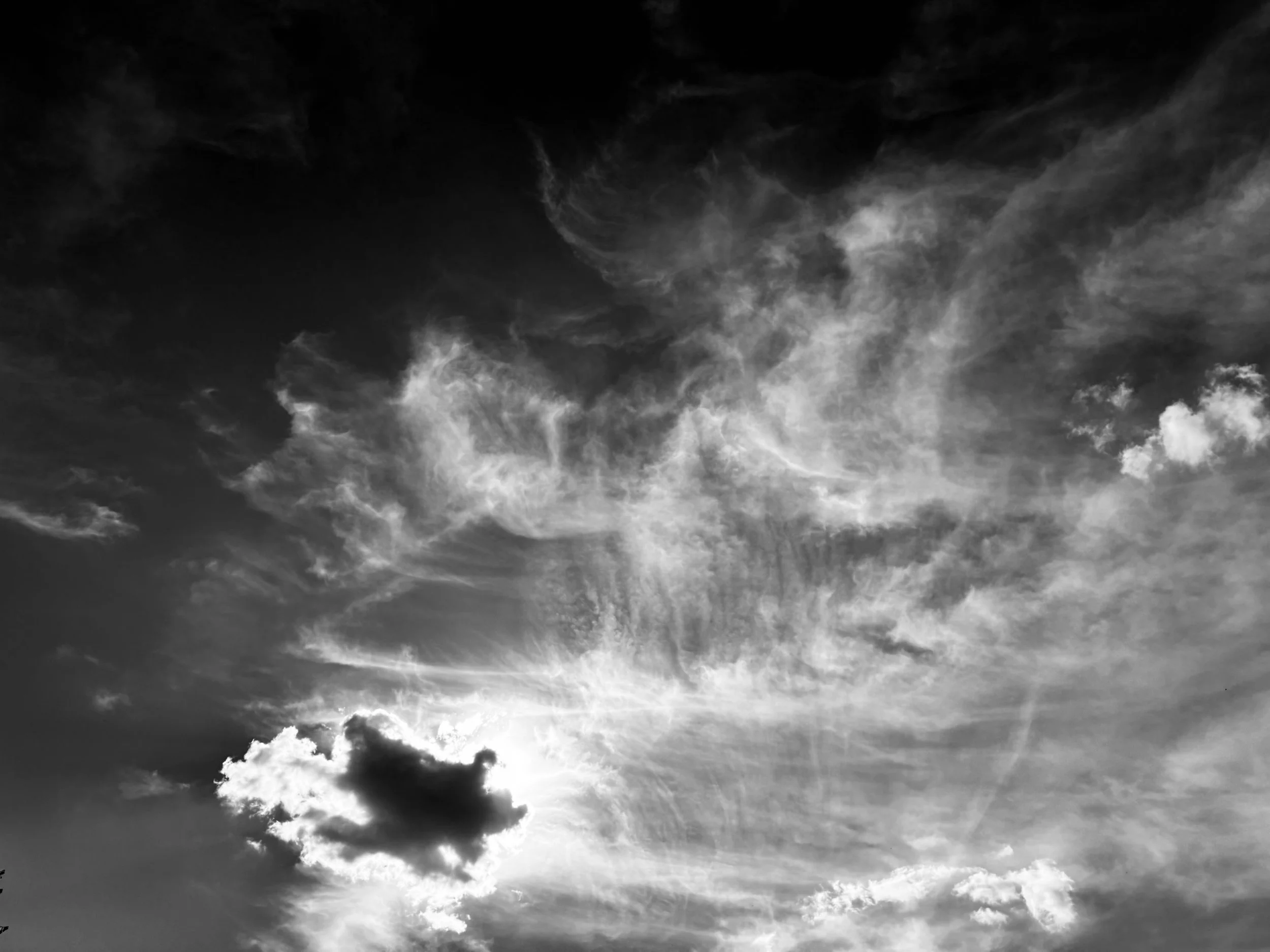 caresser les brins d’herbe