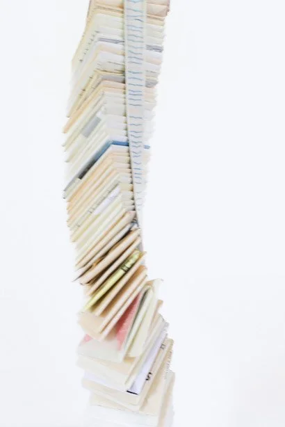 Backbone spine low res.jpg