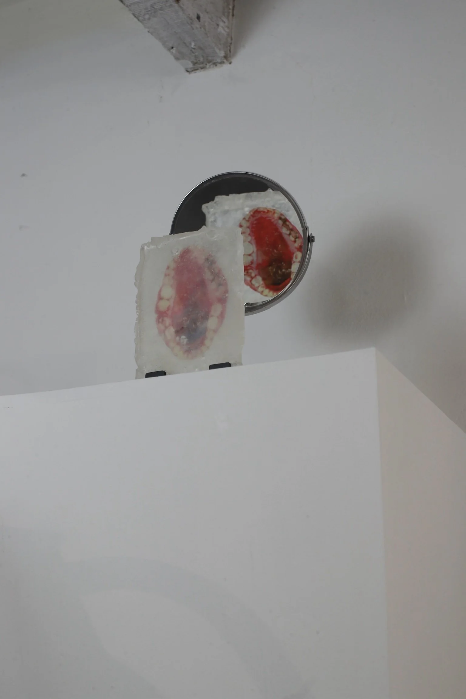 IMG_0285.jpeg