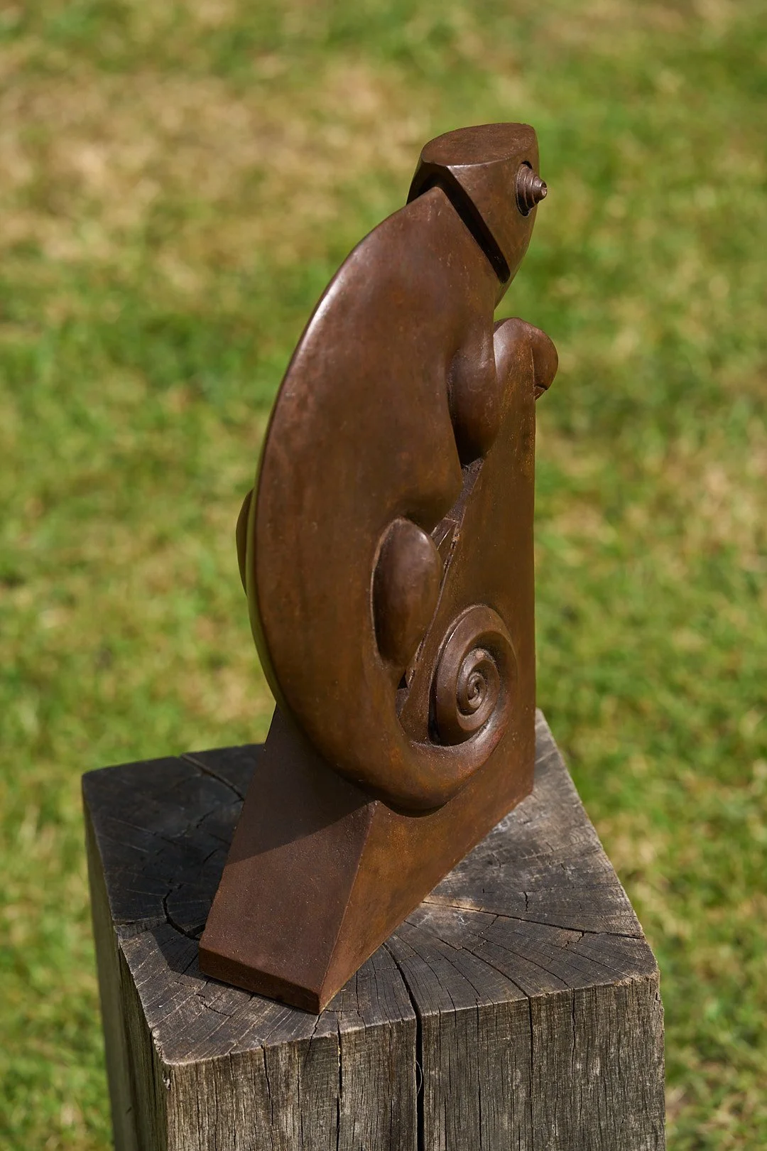 DSC00984.jpg