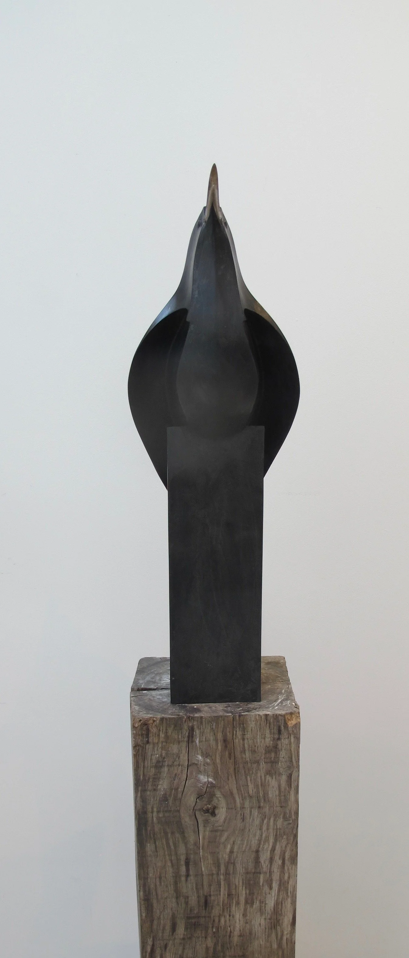 Blackbird singing mug front resize.jpg