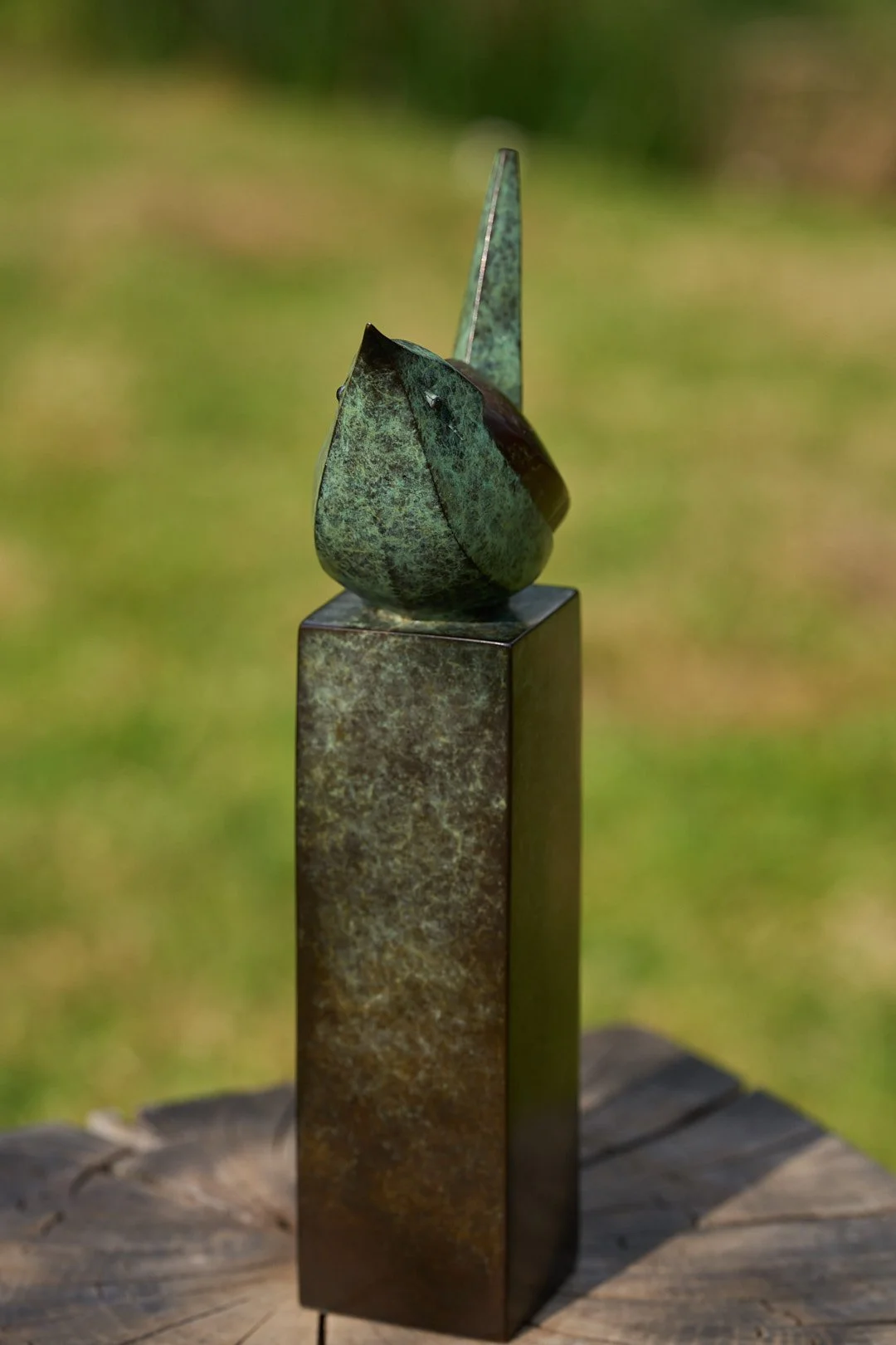 DSC01144.jpg