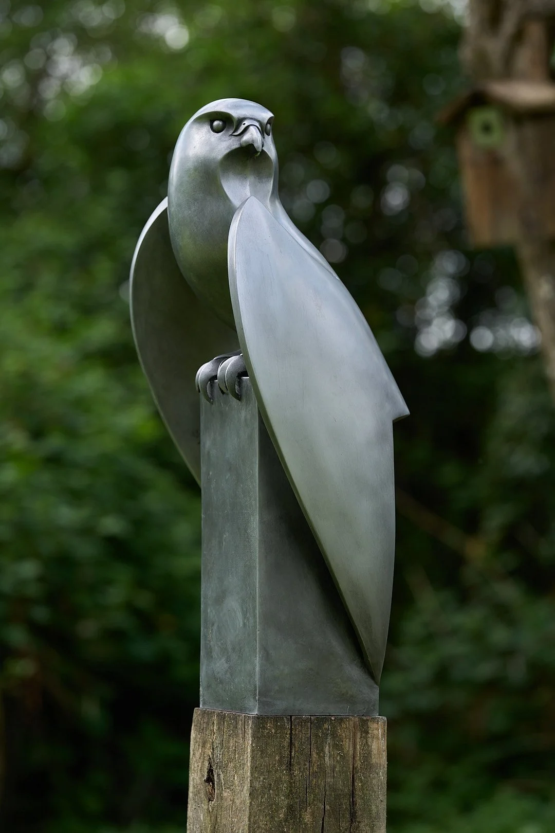 Peregrine