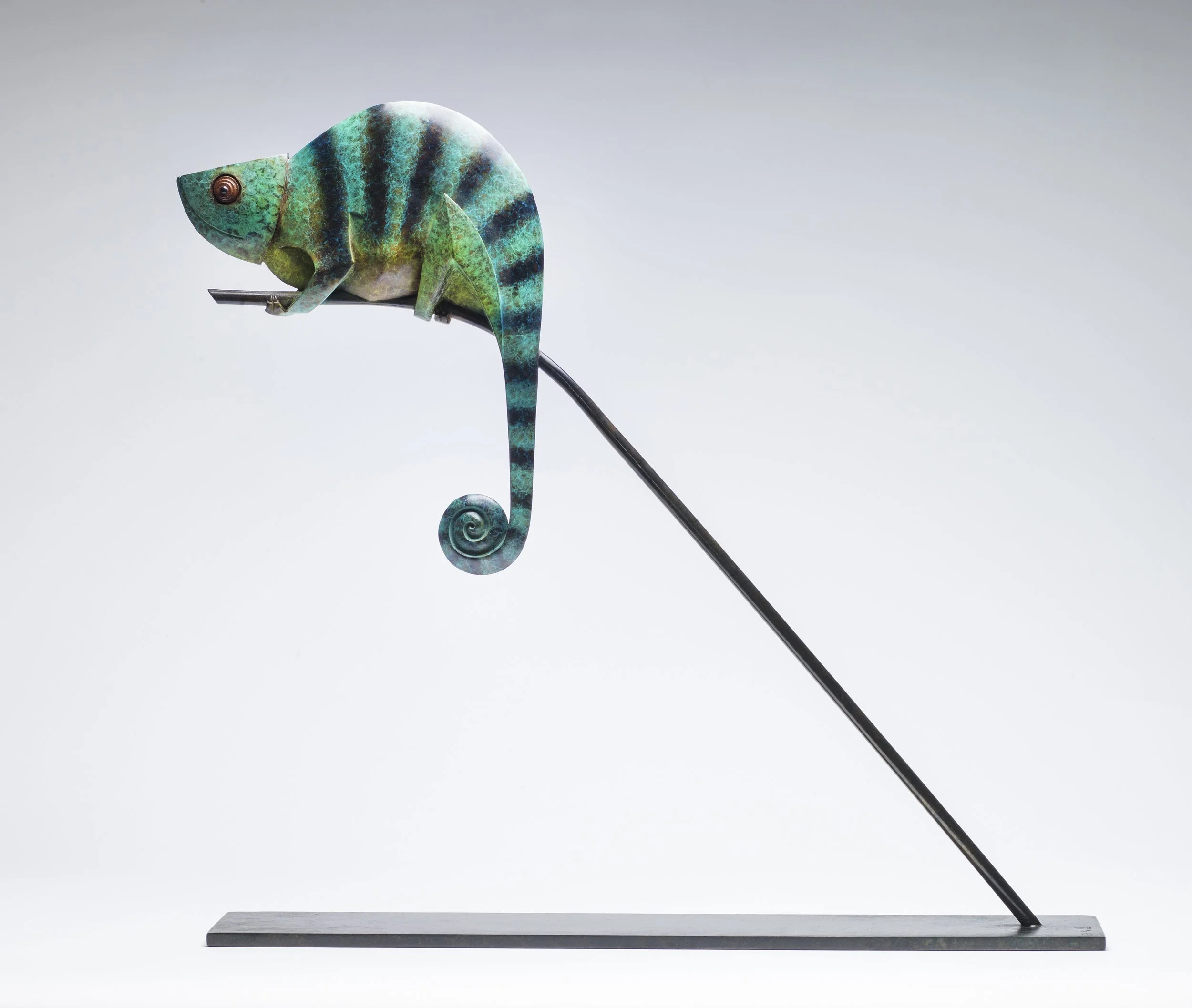 Chameleon side tail slightly closer.jpg