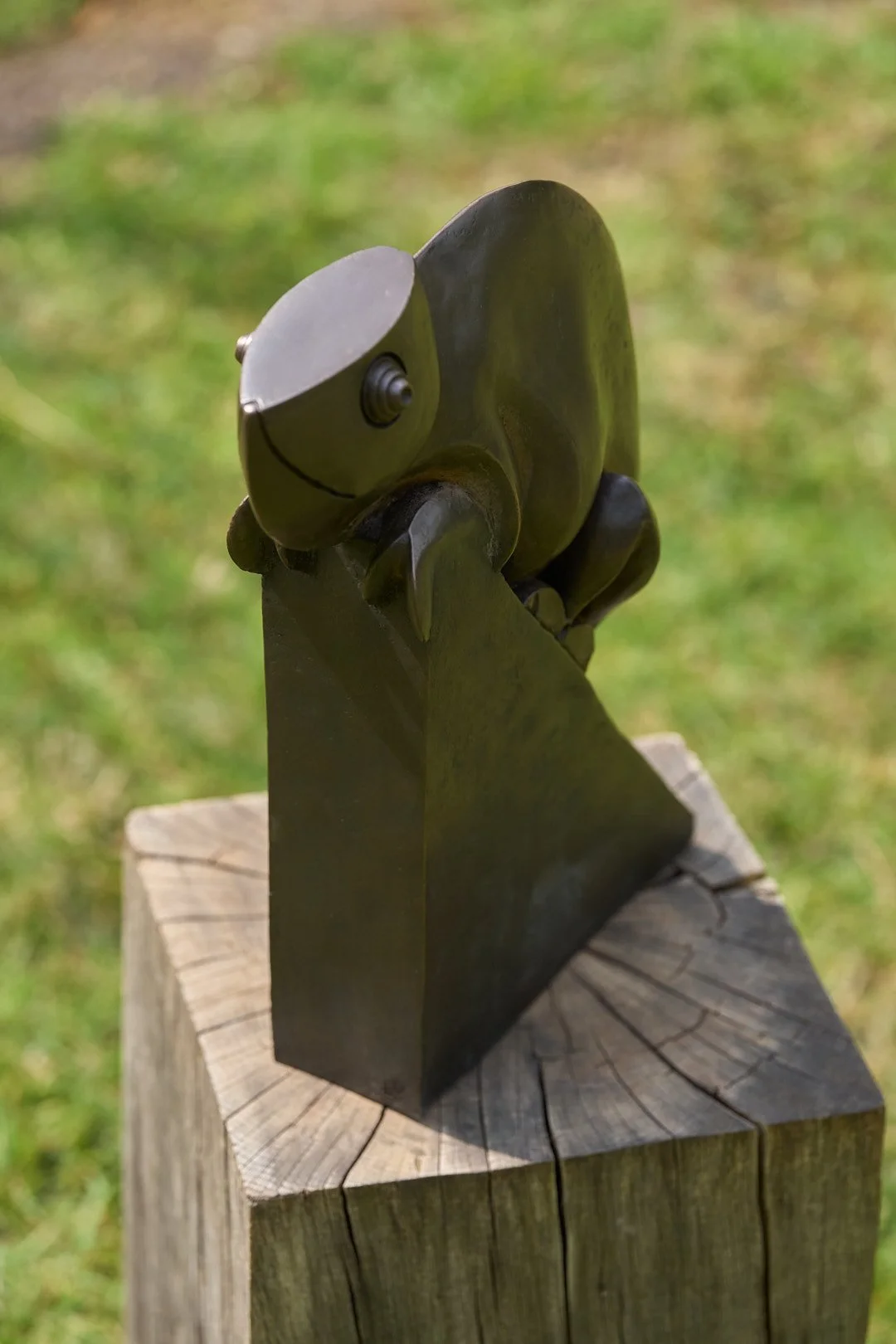 DSC00995.jpg