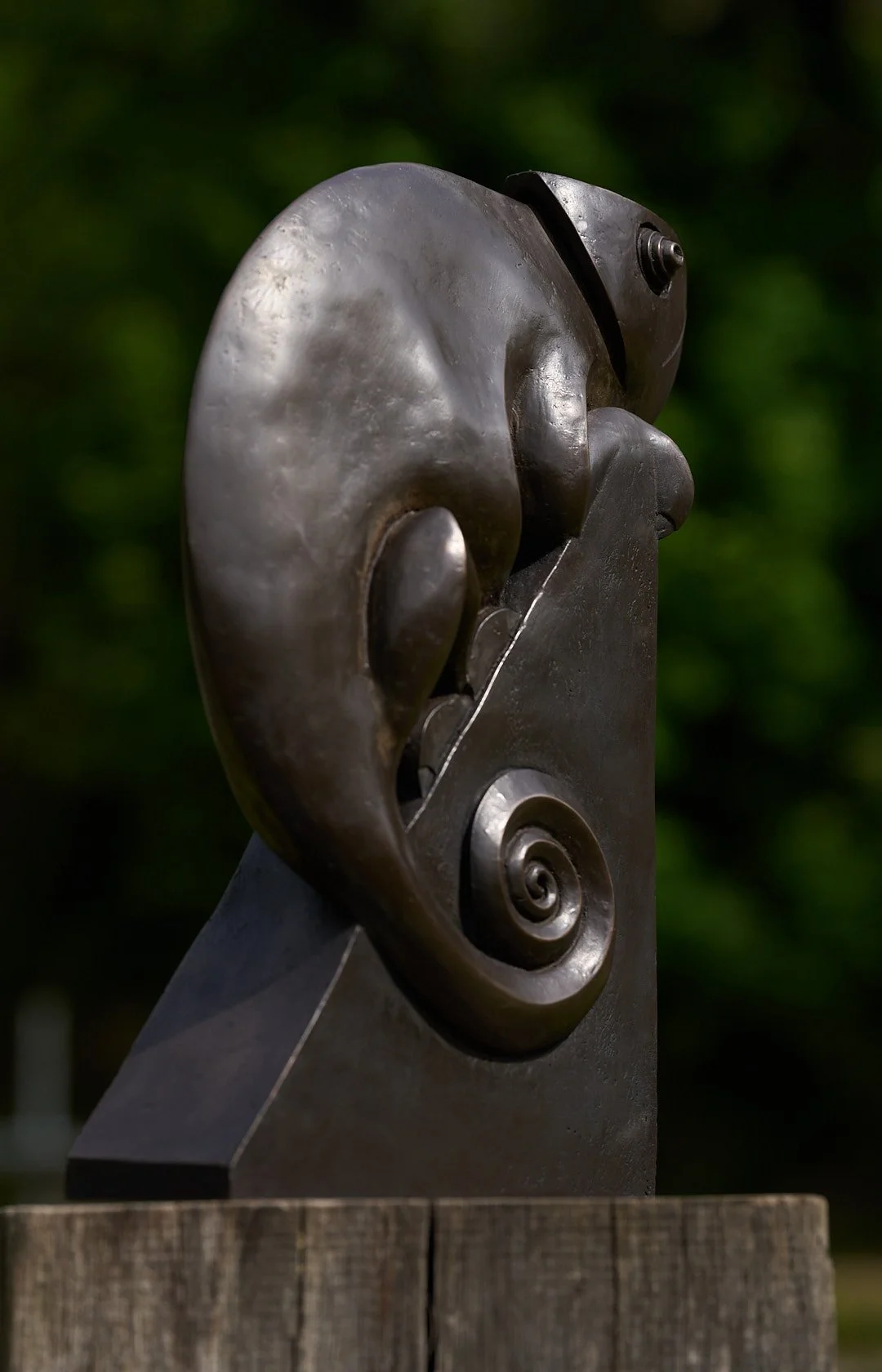 DSC00997.jpg