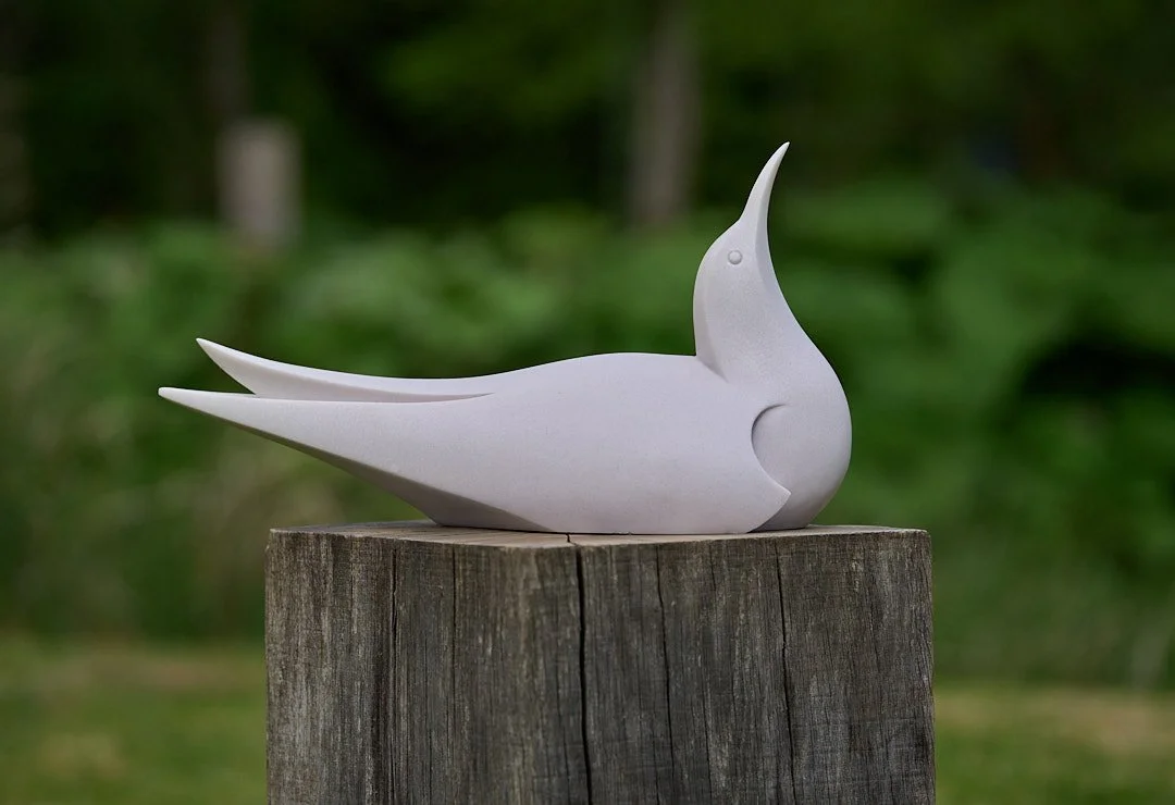 Tern Beak Up