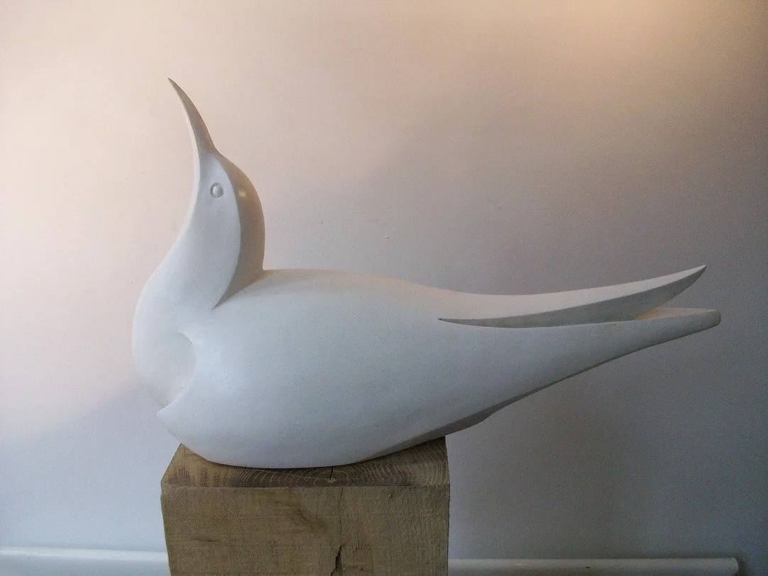 tern white side 1.jpg