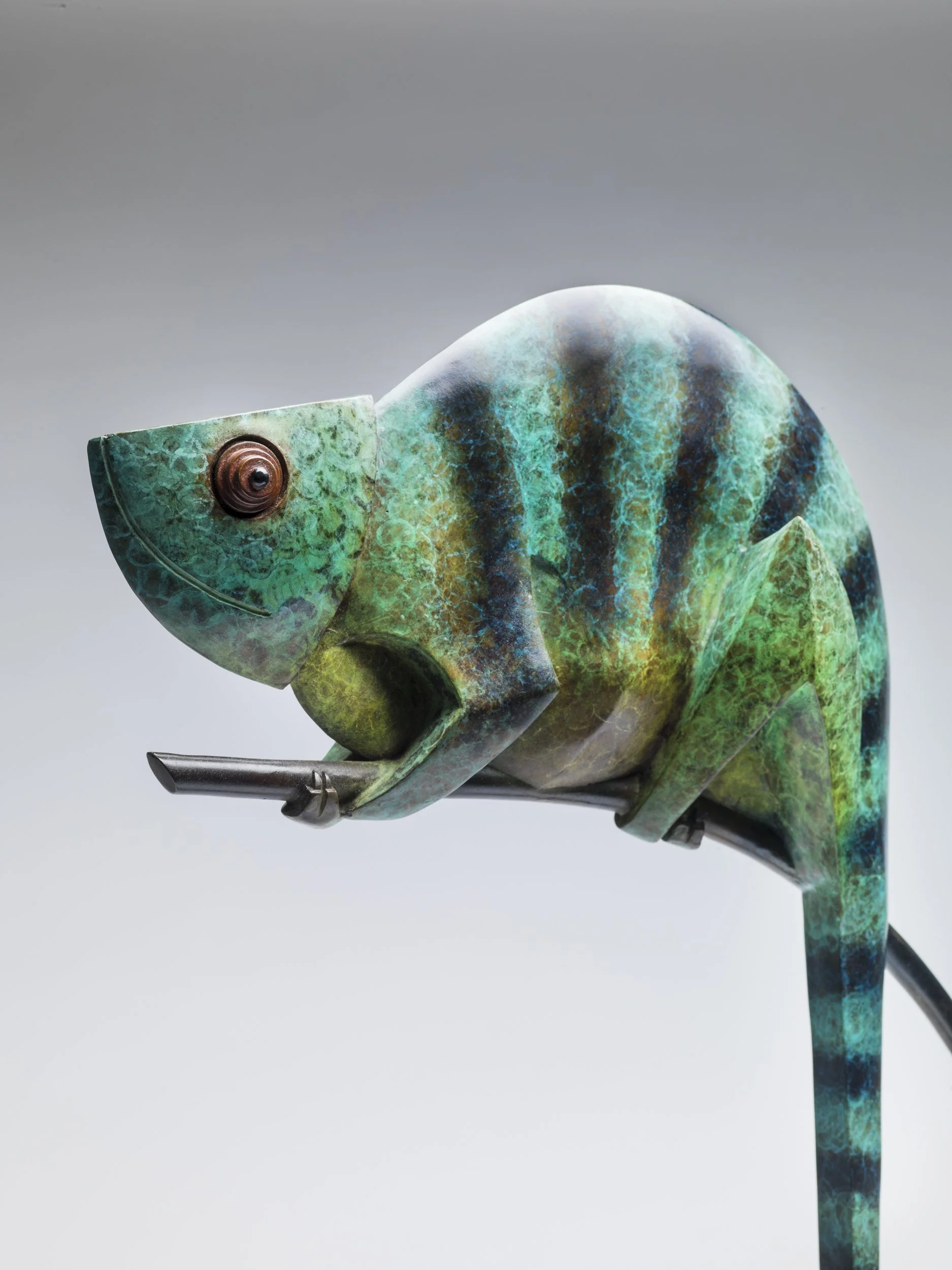 Chameleon- Limited Edition