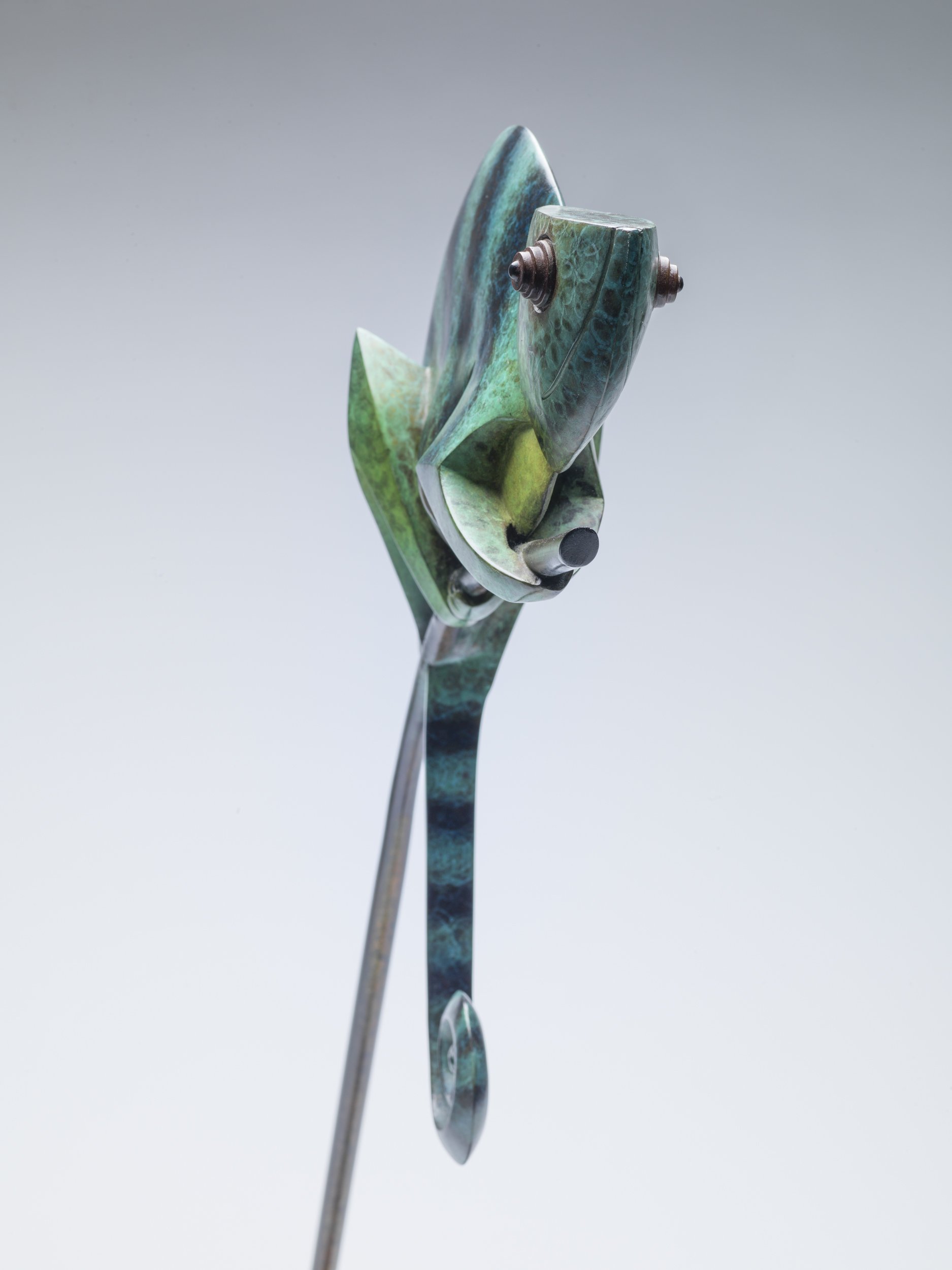 Chameleon front 45.jpg