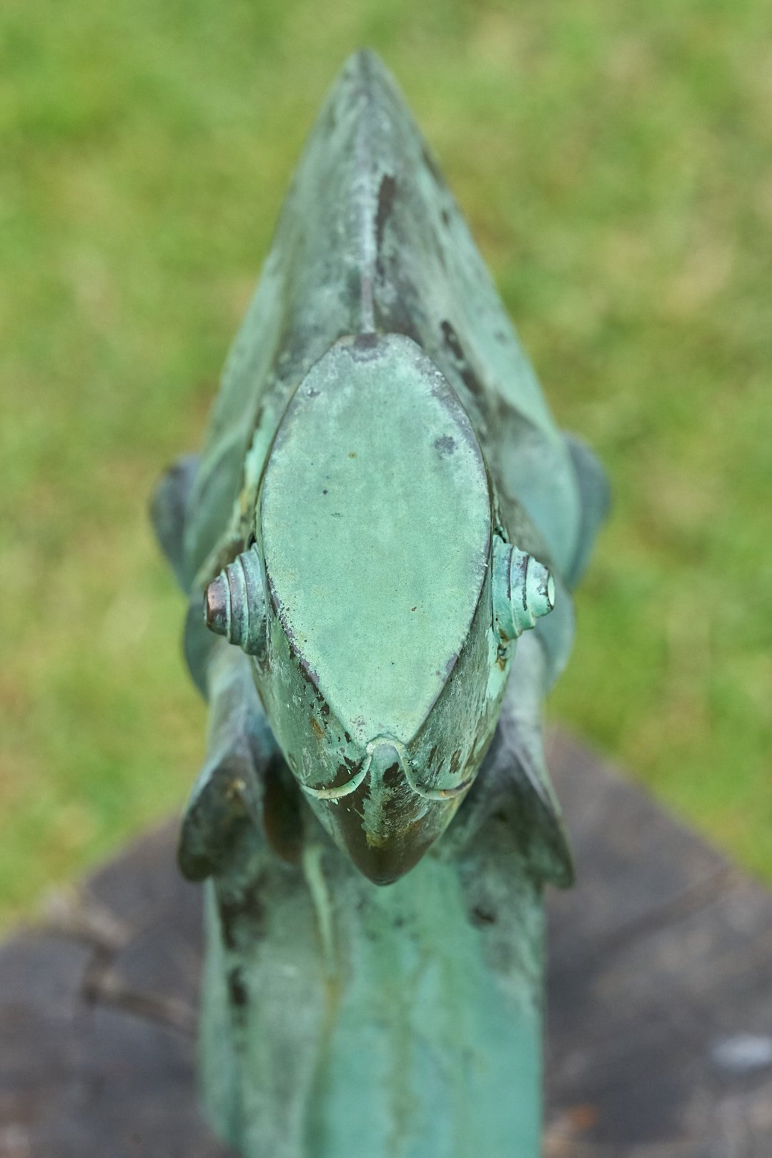 DSC00919.jpg