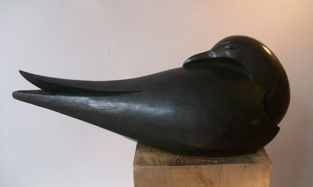 tern asleep black side.jpg