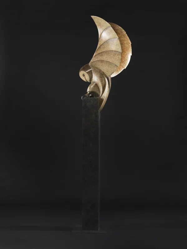 Barn Owl Landing .webp