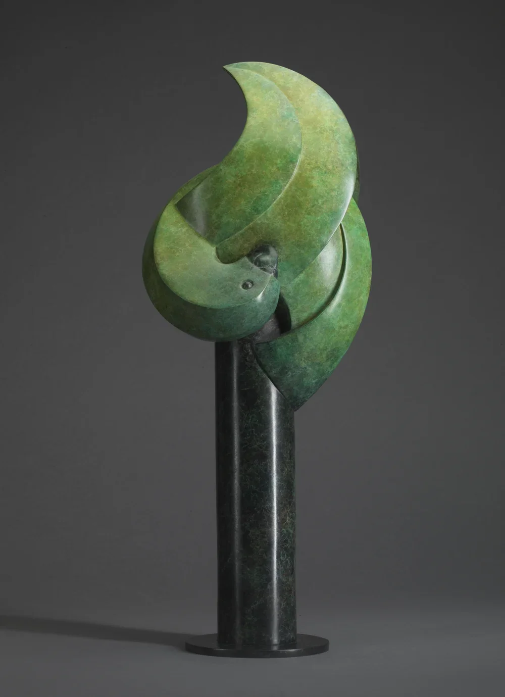 Preening Amazon Parrot- Limited Edition