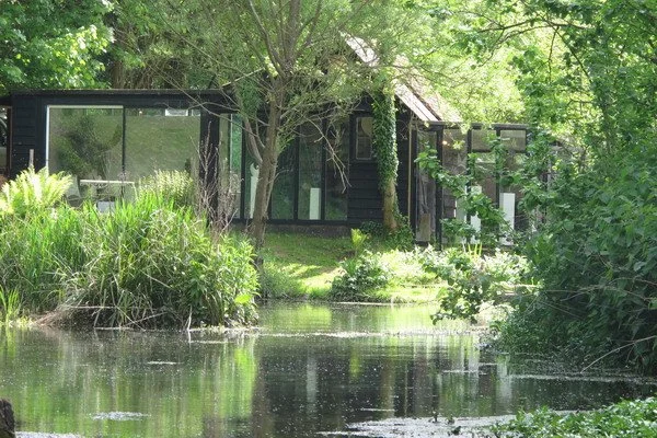 Bird Sculpture Paul Harvey About