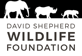 Bird Sculpture Paul Harvey About