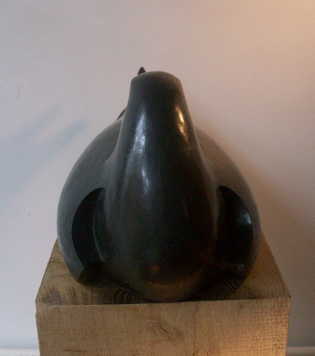 tern asleep black front.jpg