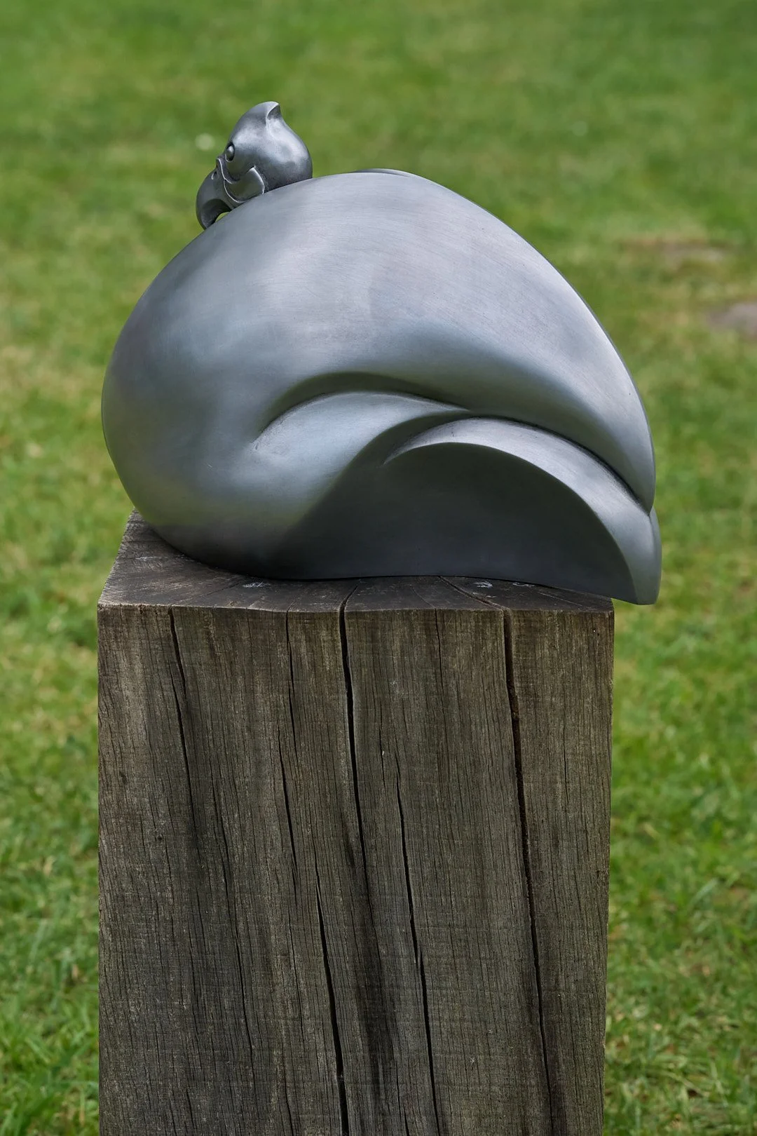 DSC00832.jpg