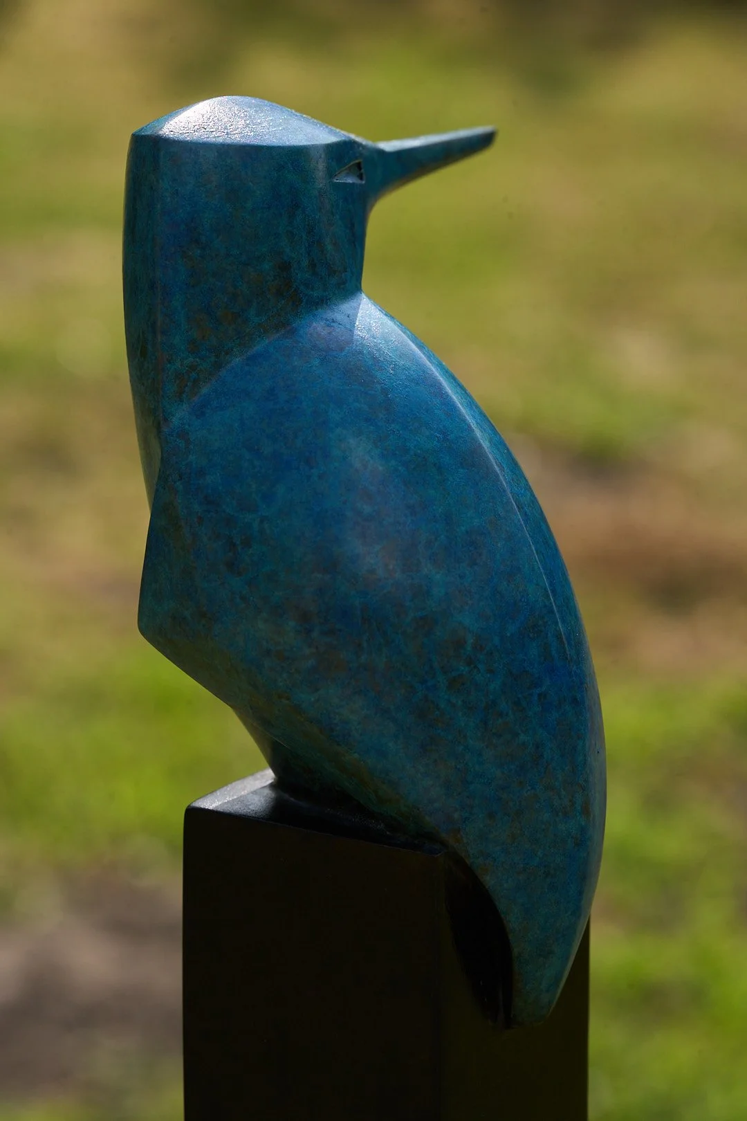 DSC01134.jpg