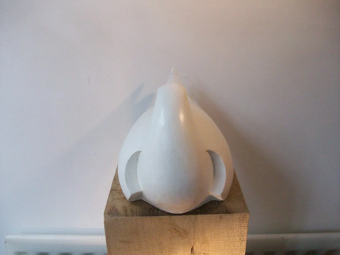 tern asleep white front.jpg