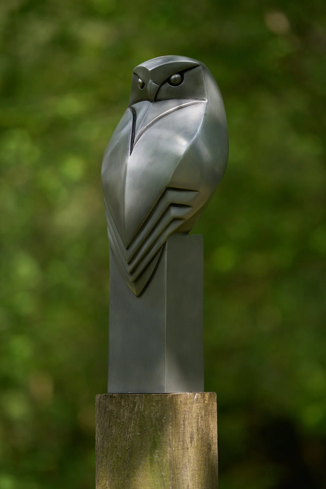 Little Owl
