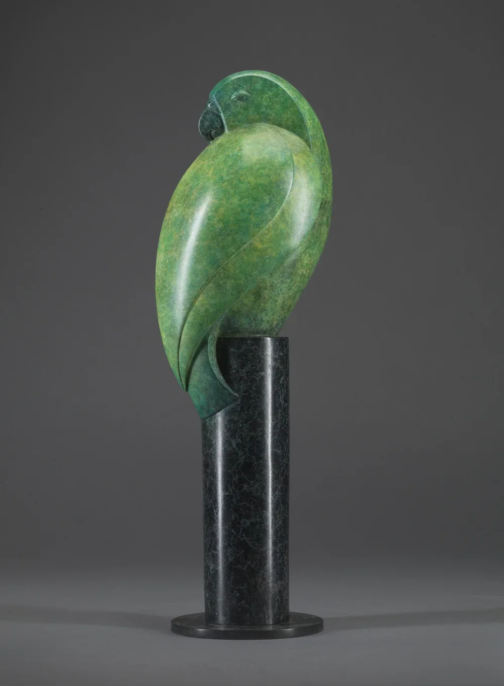 Sleeping Amazon Parrot- Limited Edition