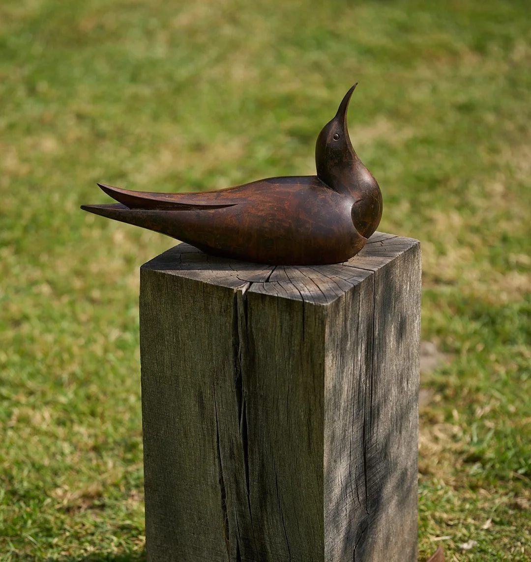 DSC01092.jpg