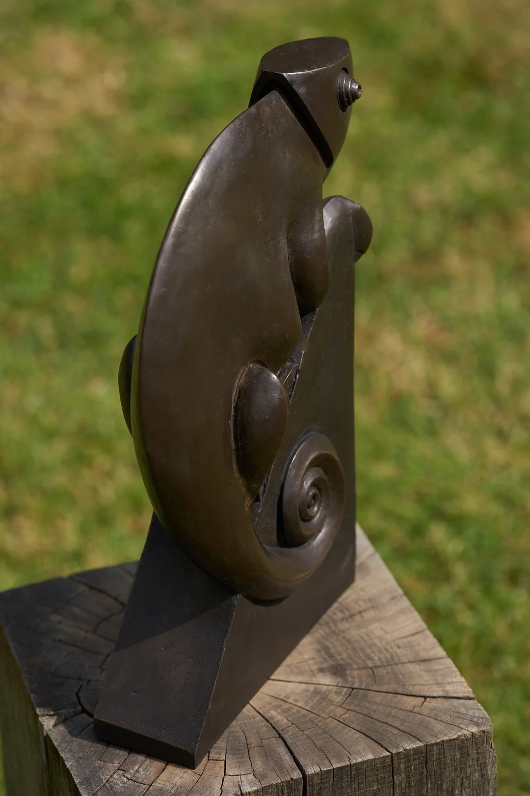 DSC00993.jpg