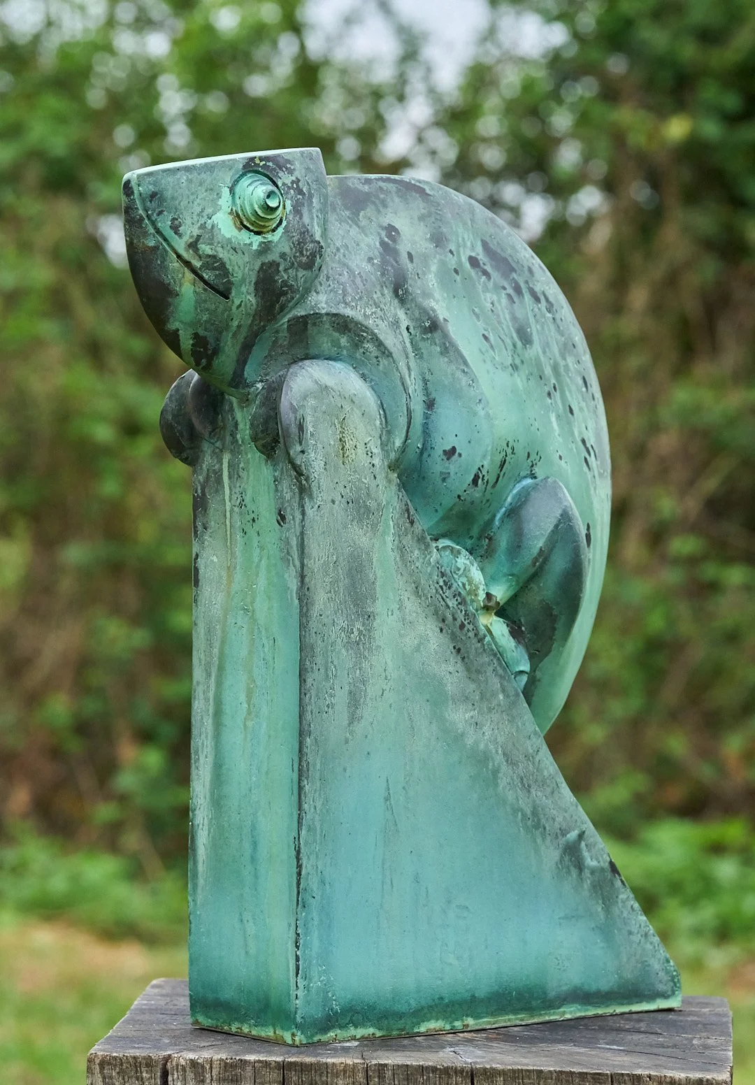 DSC00917.jpg