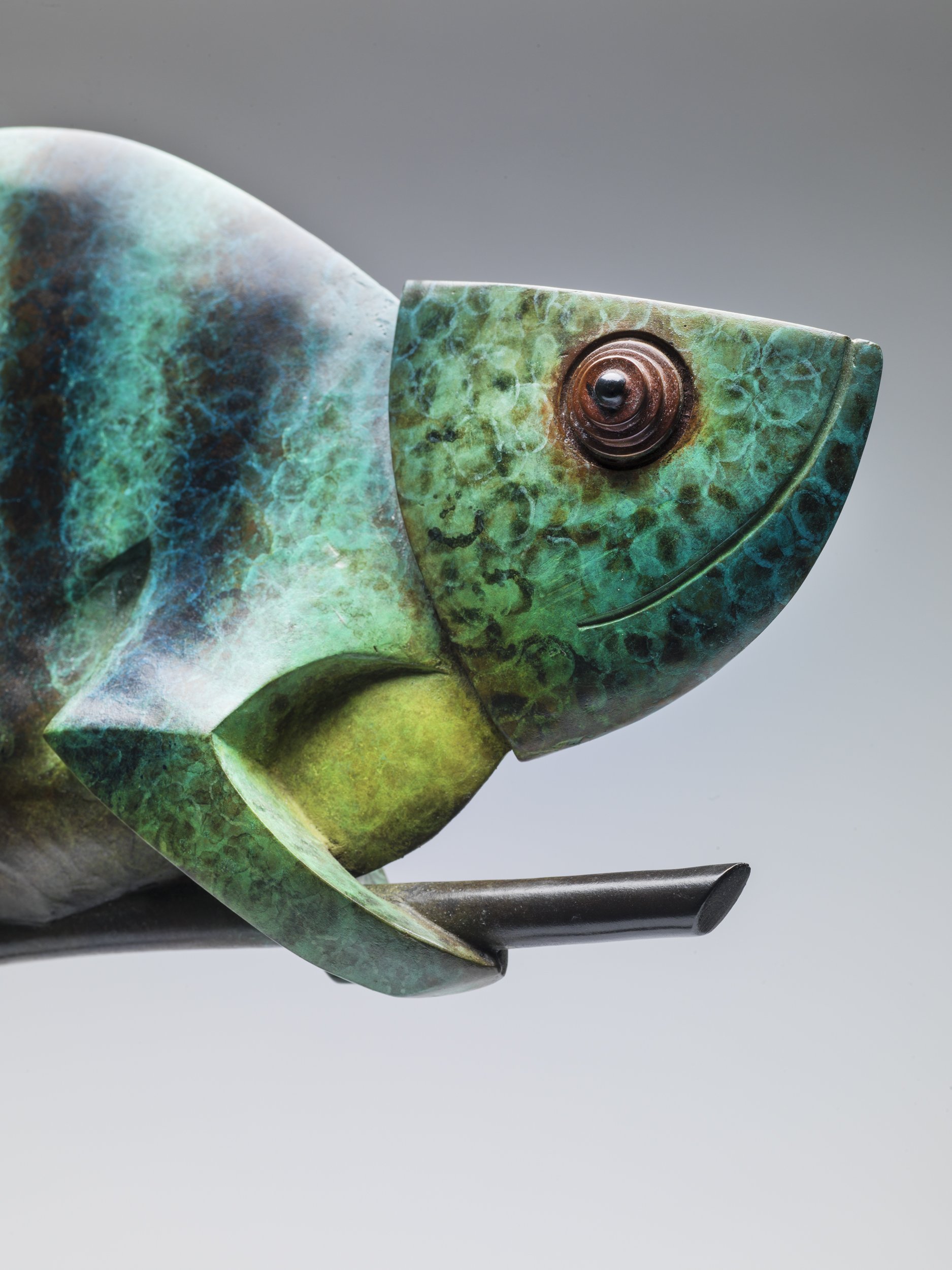 chameleon close side.jpg