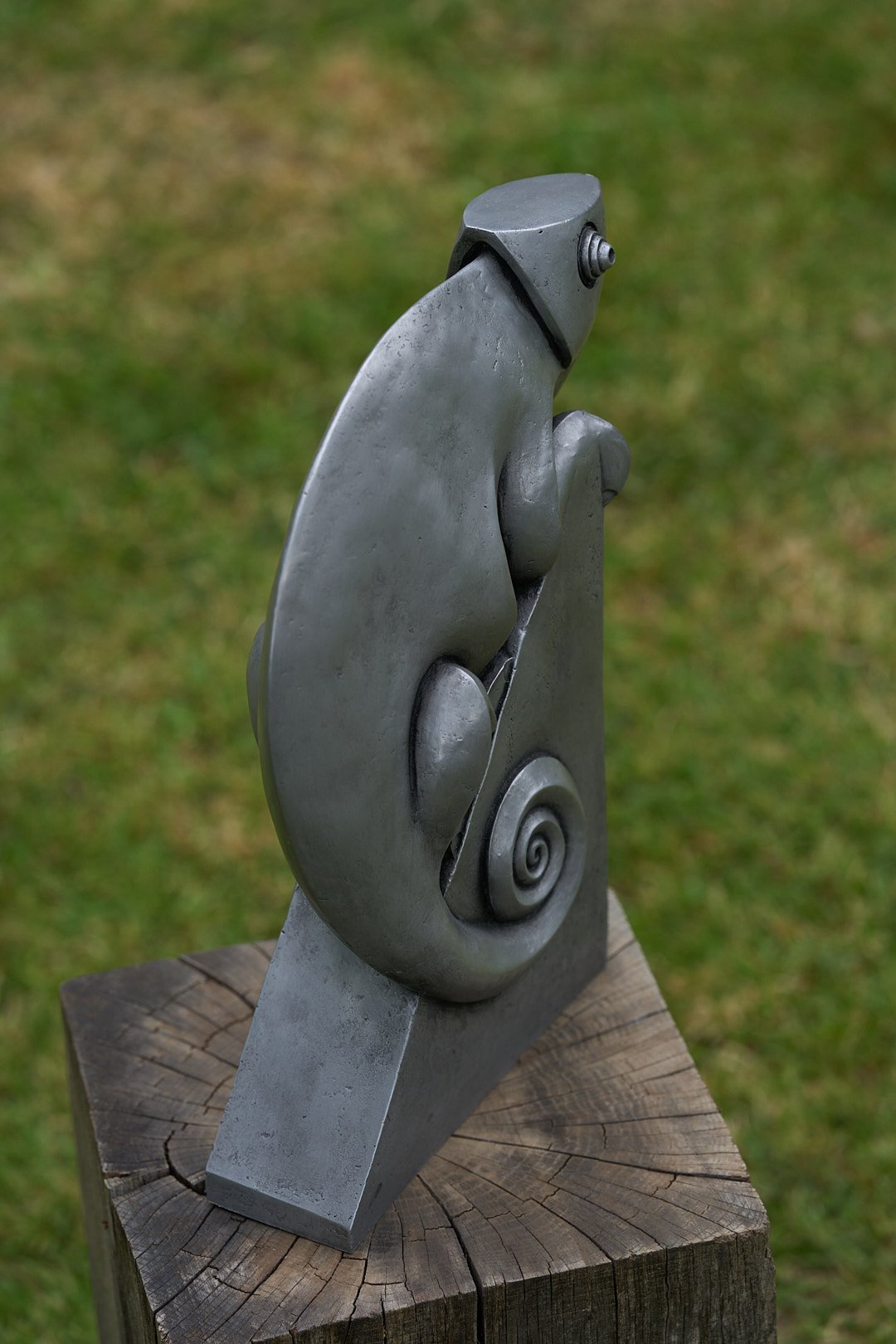 DSC01004.jpg