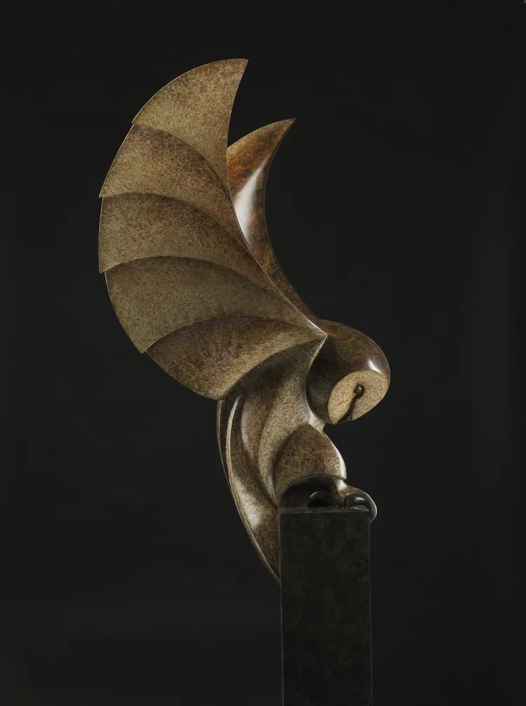 Barn Owl Landing- Limited Edition