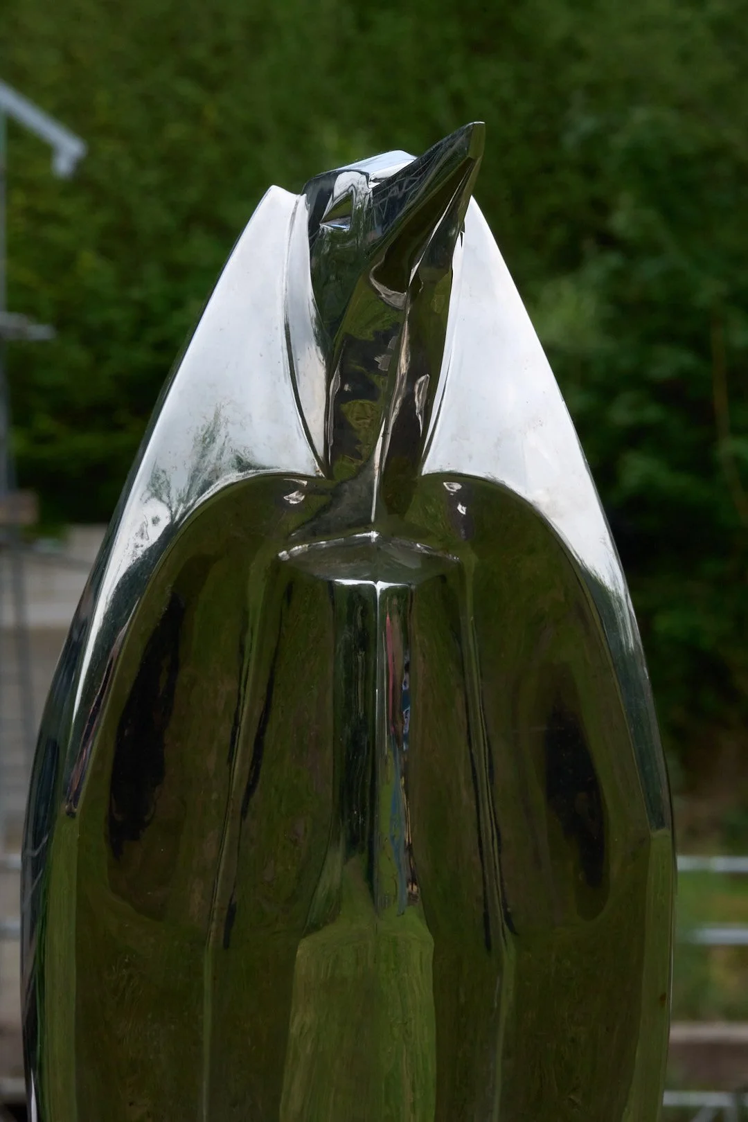DSC00823.jpg