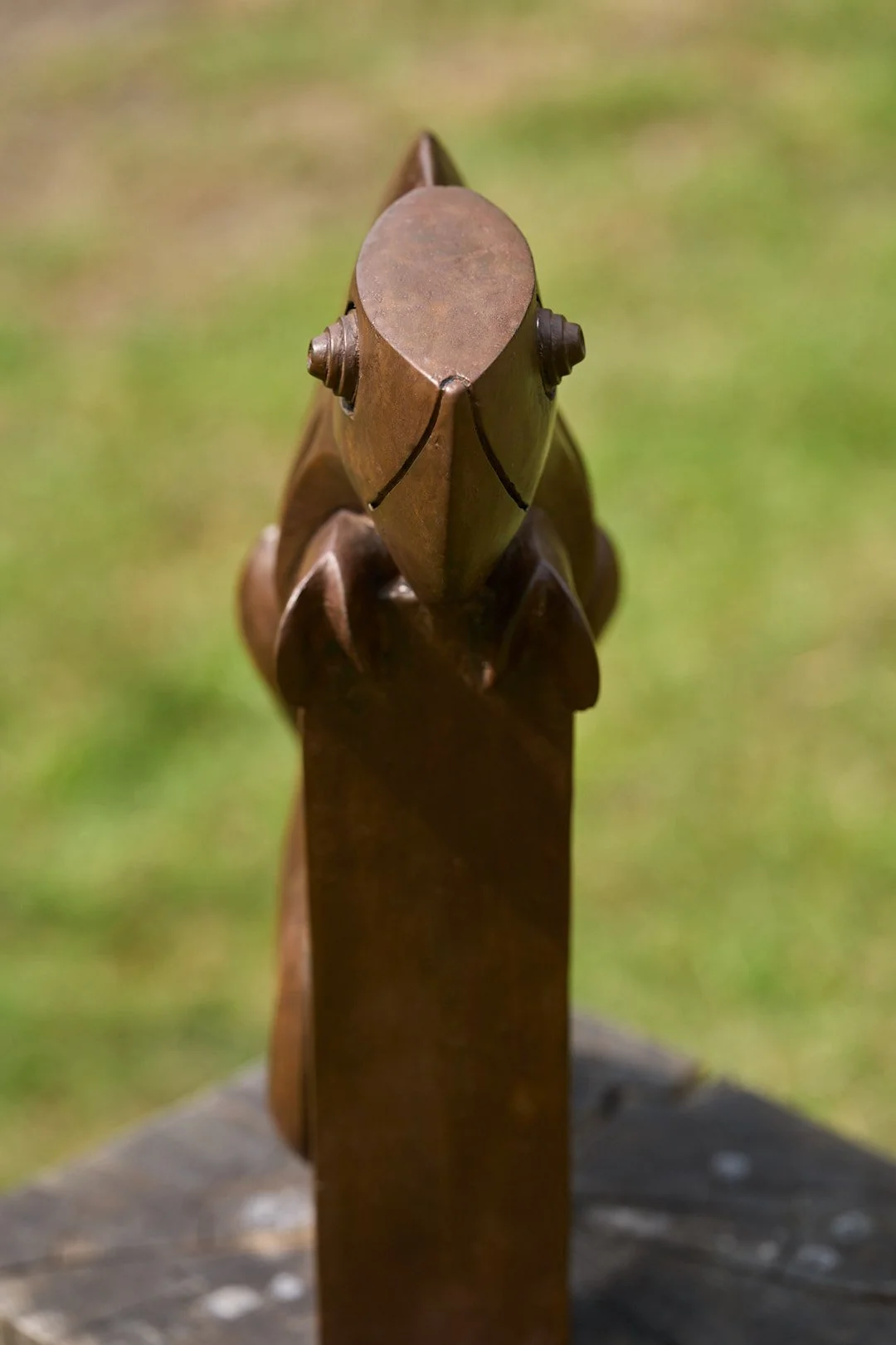 DSC00987.jpg