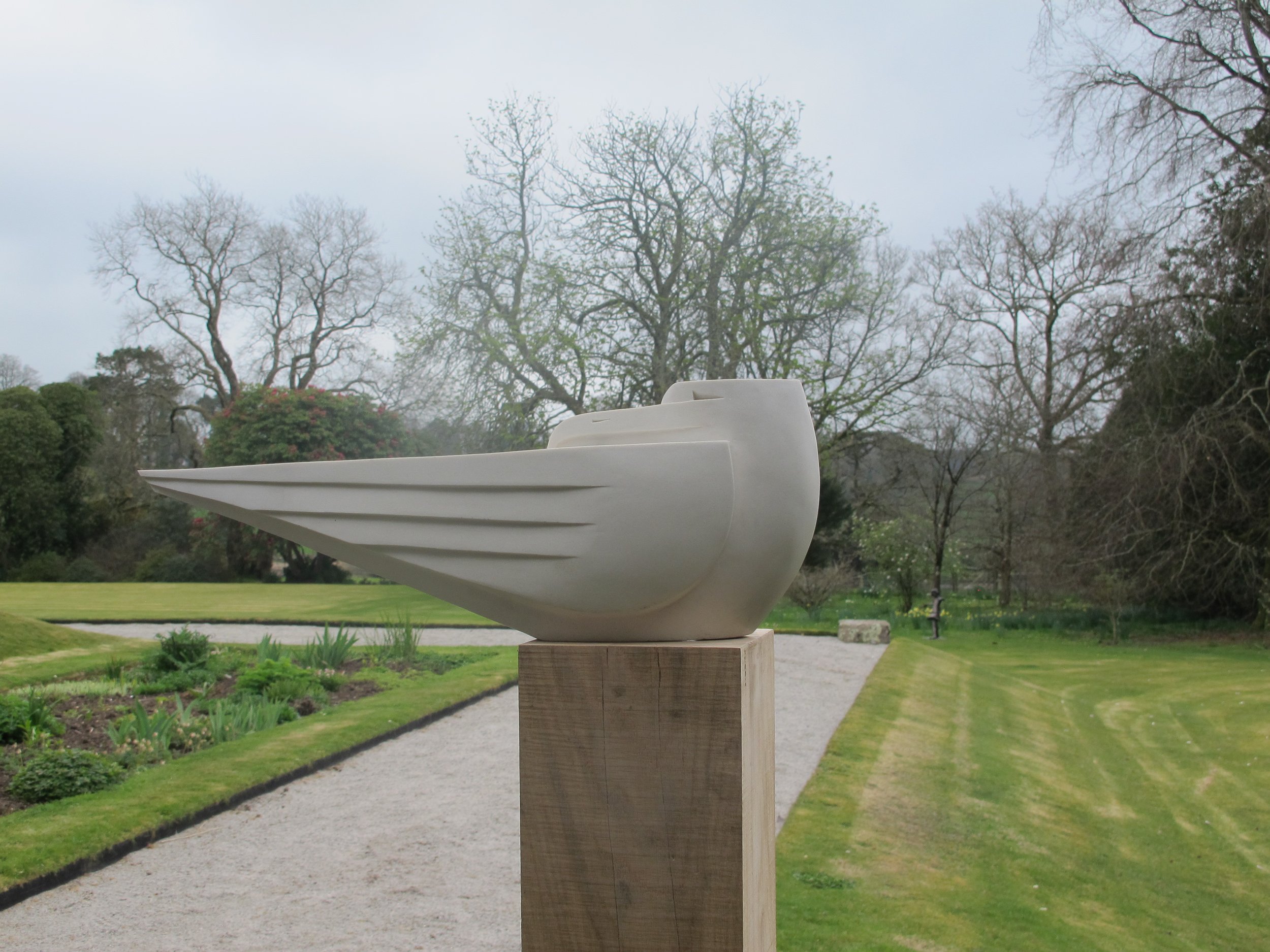 Seagull on post delamore.JPG