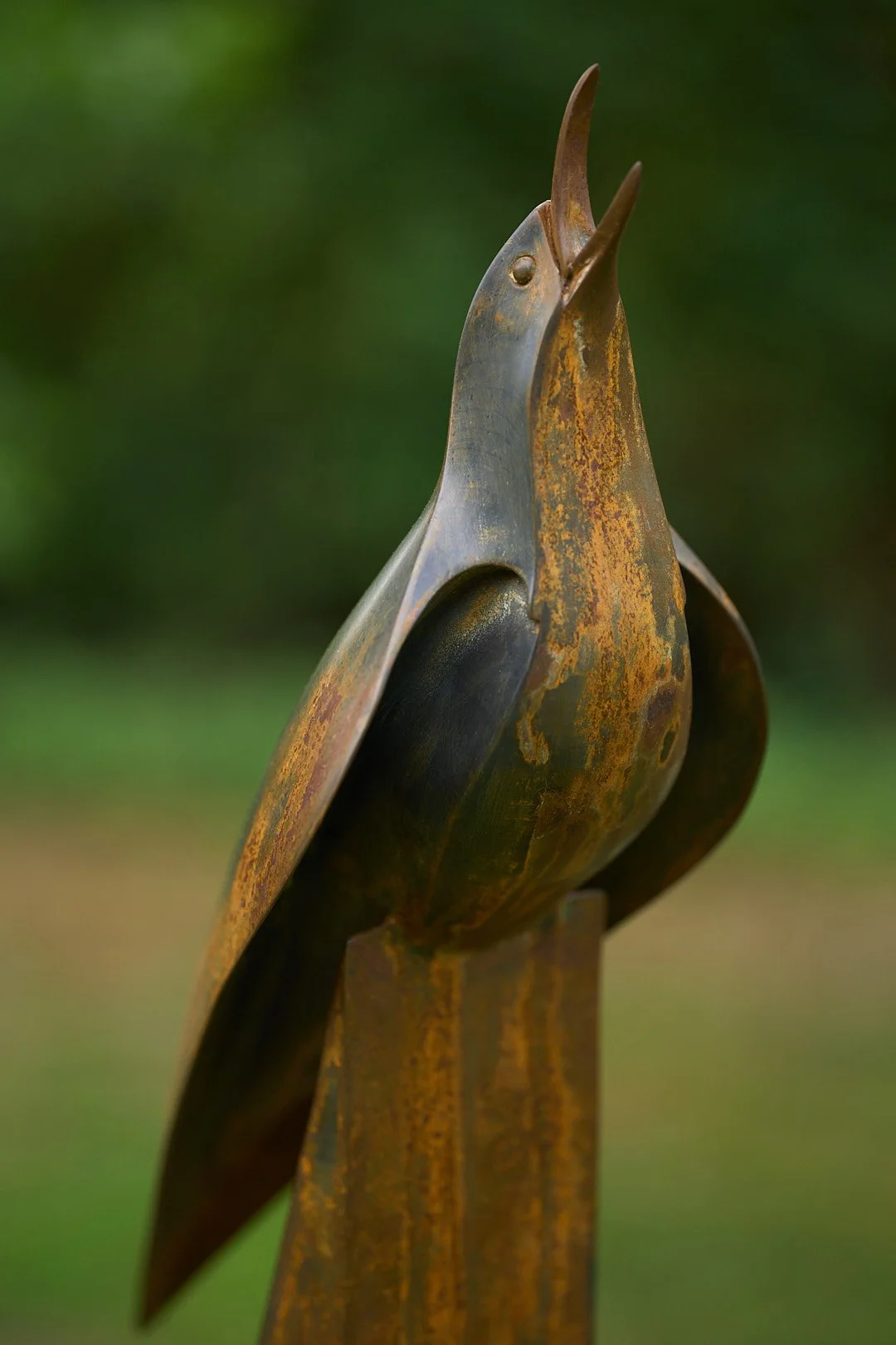 Blackbird Singing