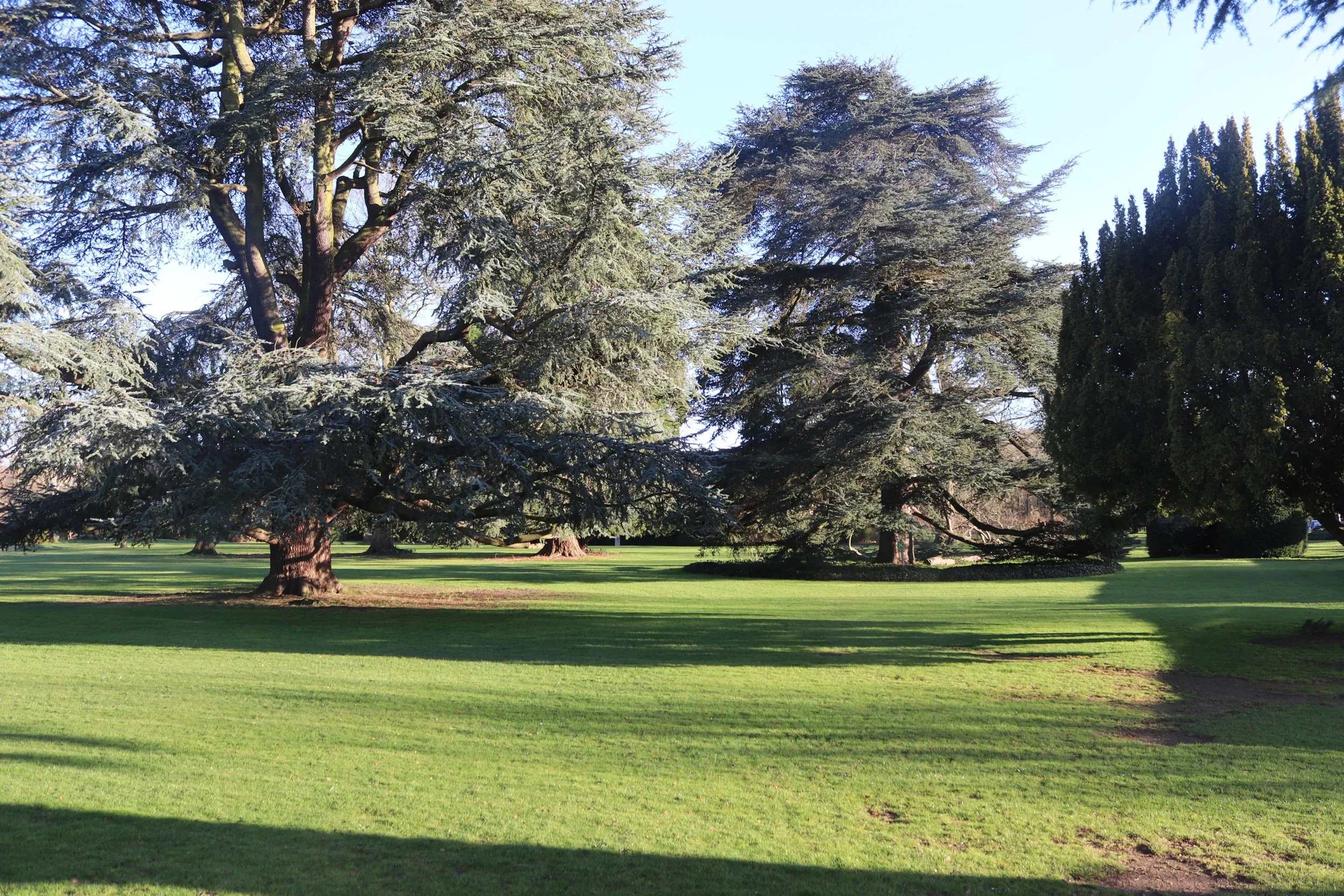 Exhibitions Paul Harvey Bird Sculpture