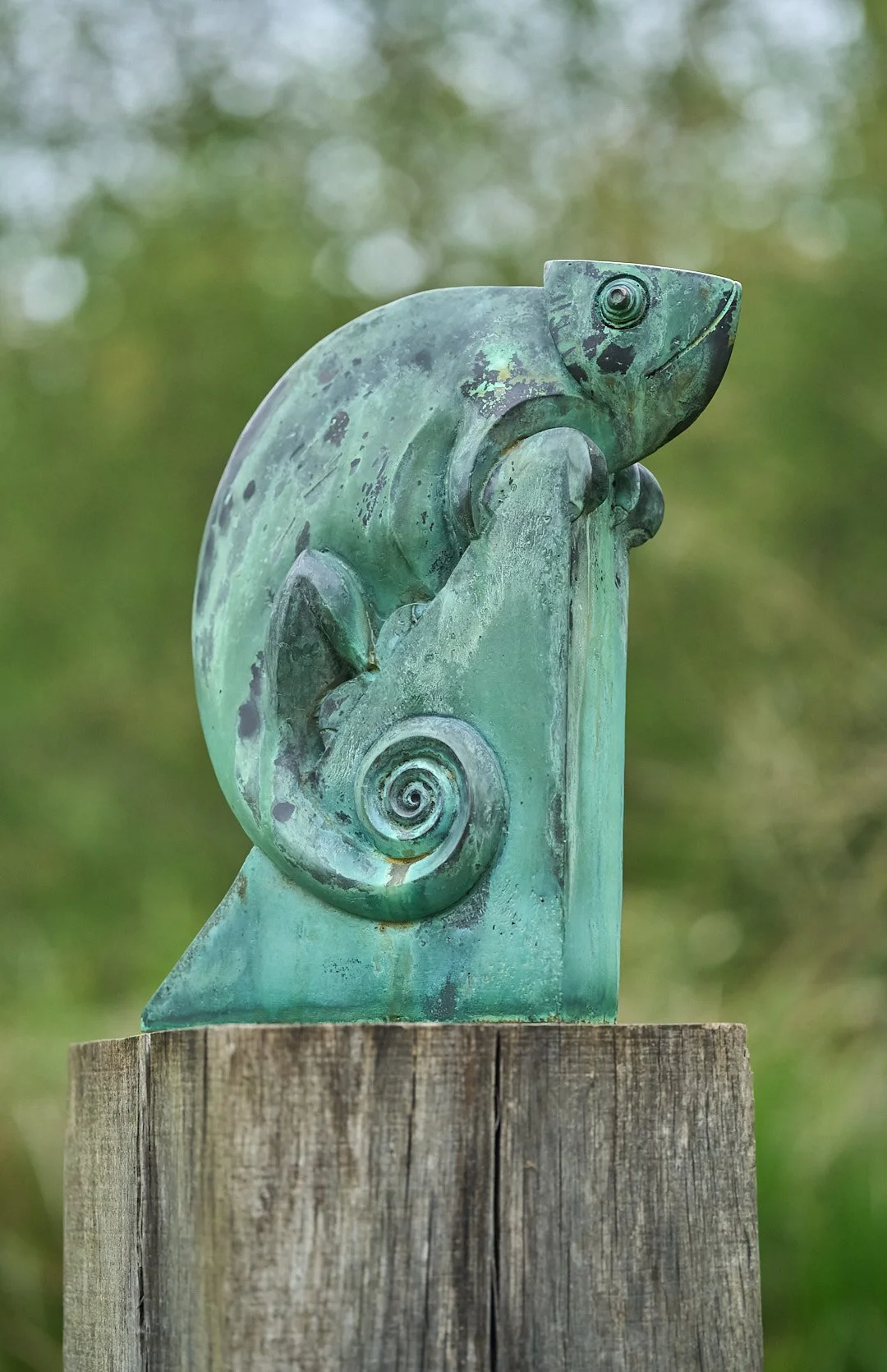 Chameleon