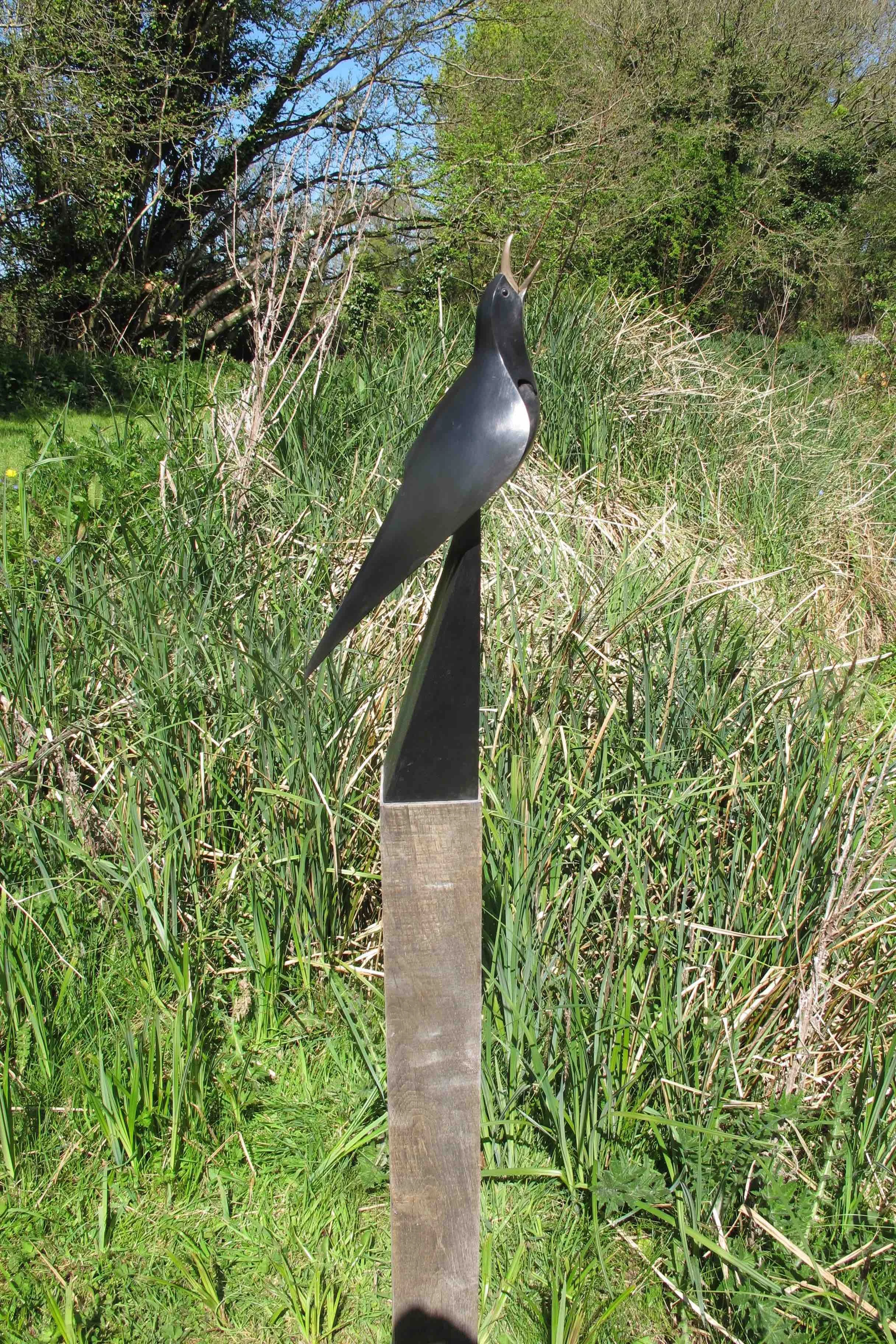 Black bird singing garden resize.jpg