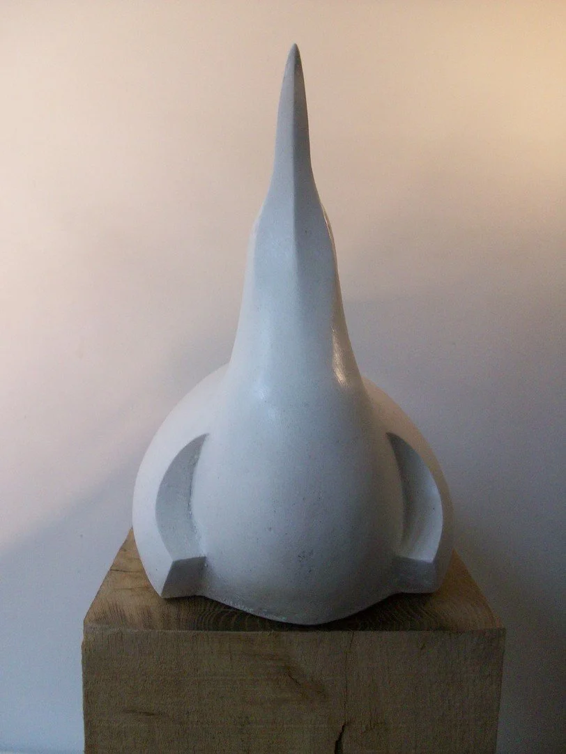 tern white front.jpg