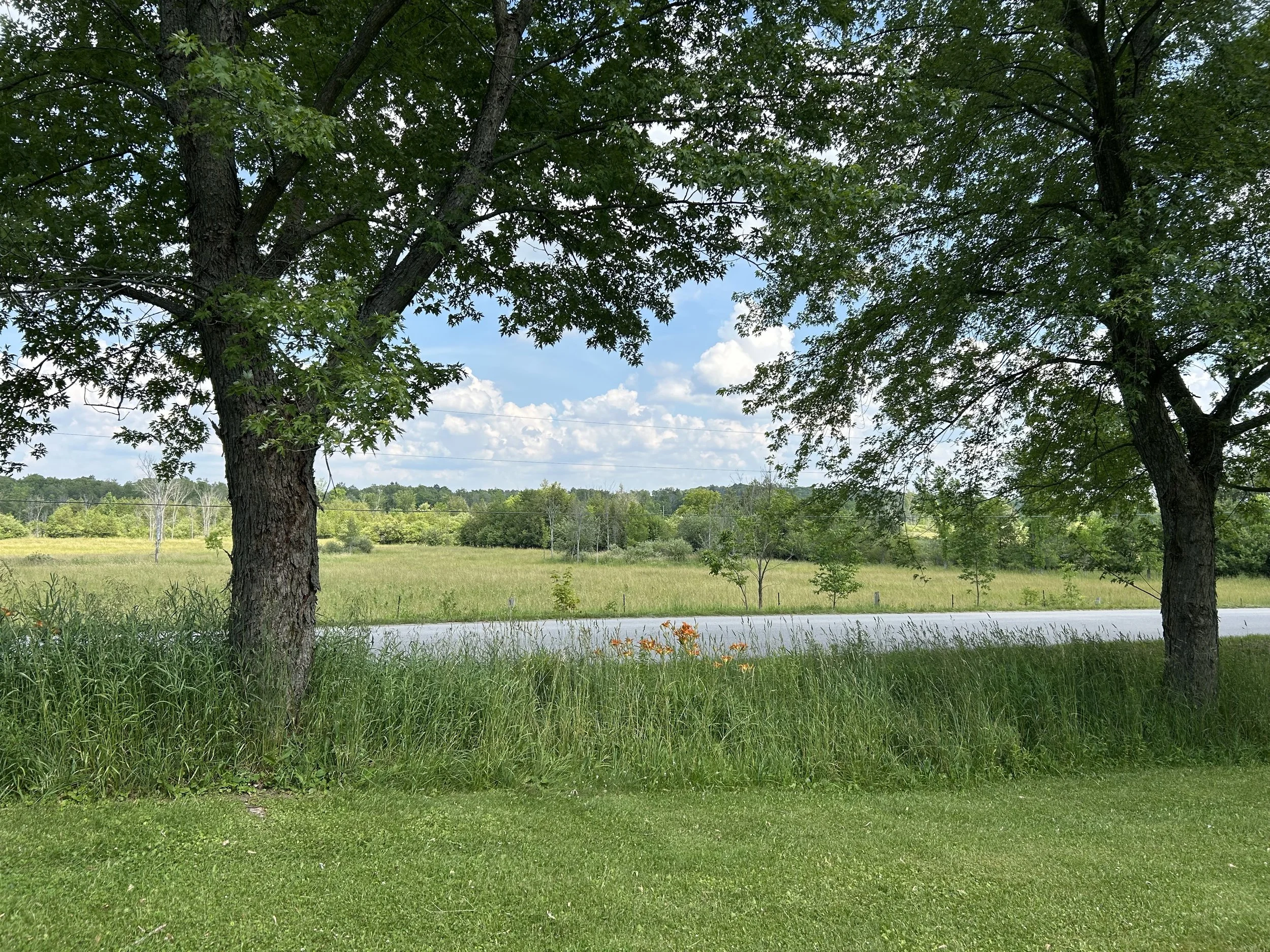 Eastern view from the front porch