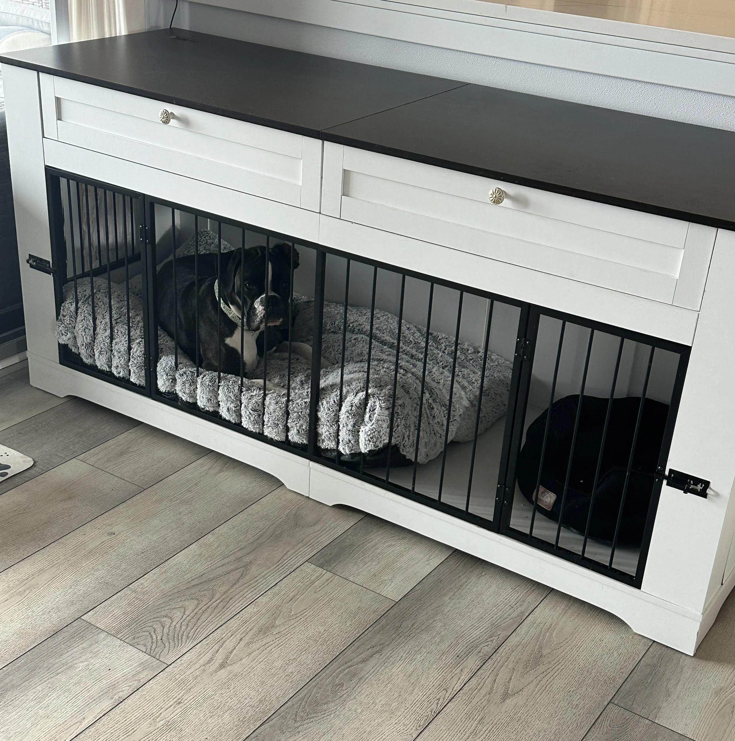 Proof You Can Have a Puppy and a Pretty Home