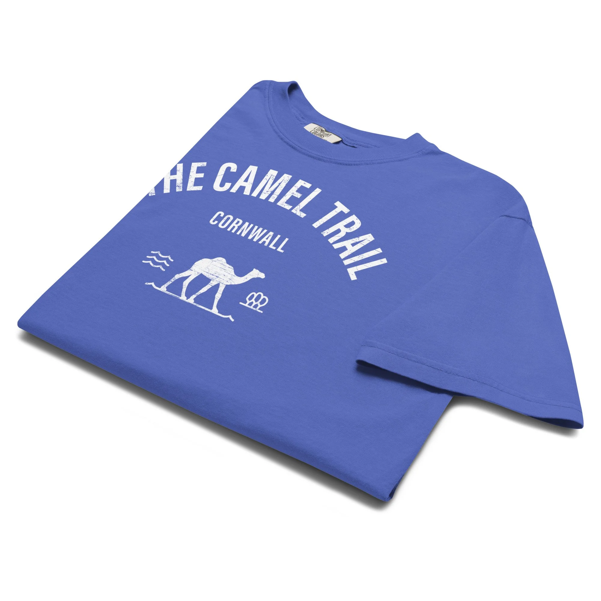 unisex-garment-dyed-heavyweight-t-shirt-flo-blue-front-6a3f9f5a6904e.jpg