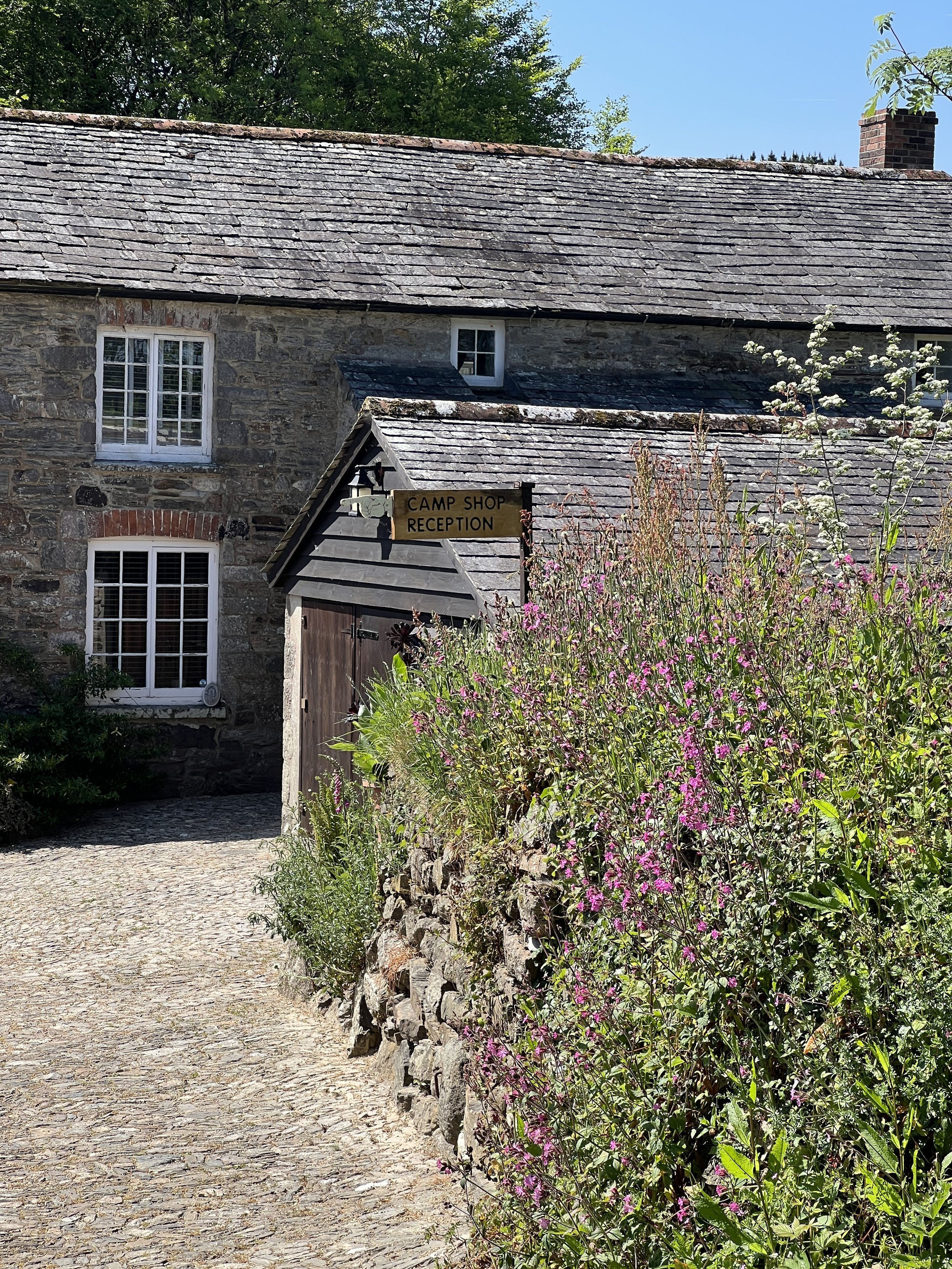 Stone building with multiple windows and a sign that reads 'CAMP SHOP RECEPTION' near a garden of tall purple and pink flowers, cobblestone pathway, and a clear blue sky.