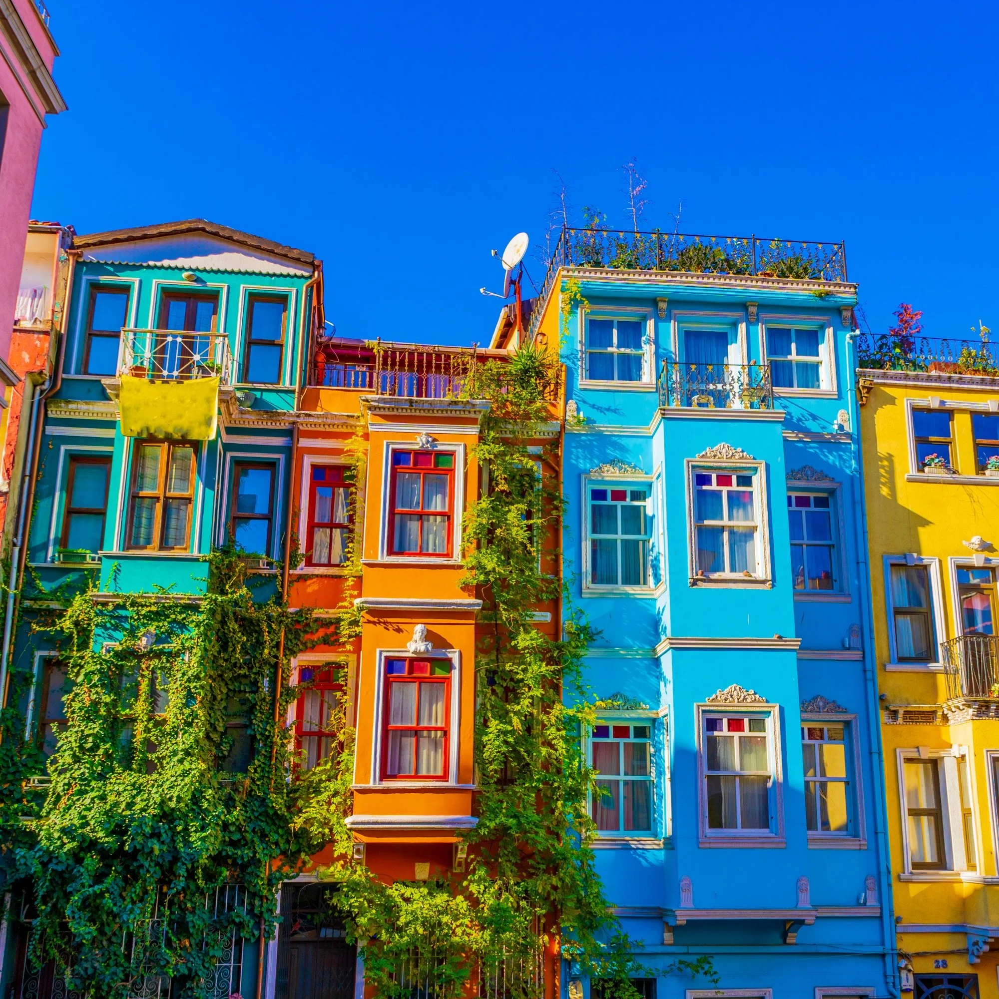 Understanding Types of Property Ownership in New York State