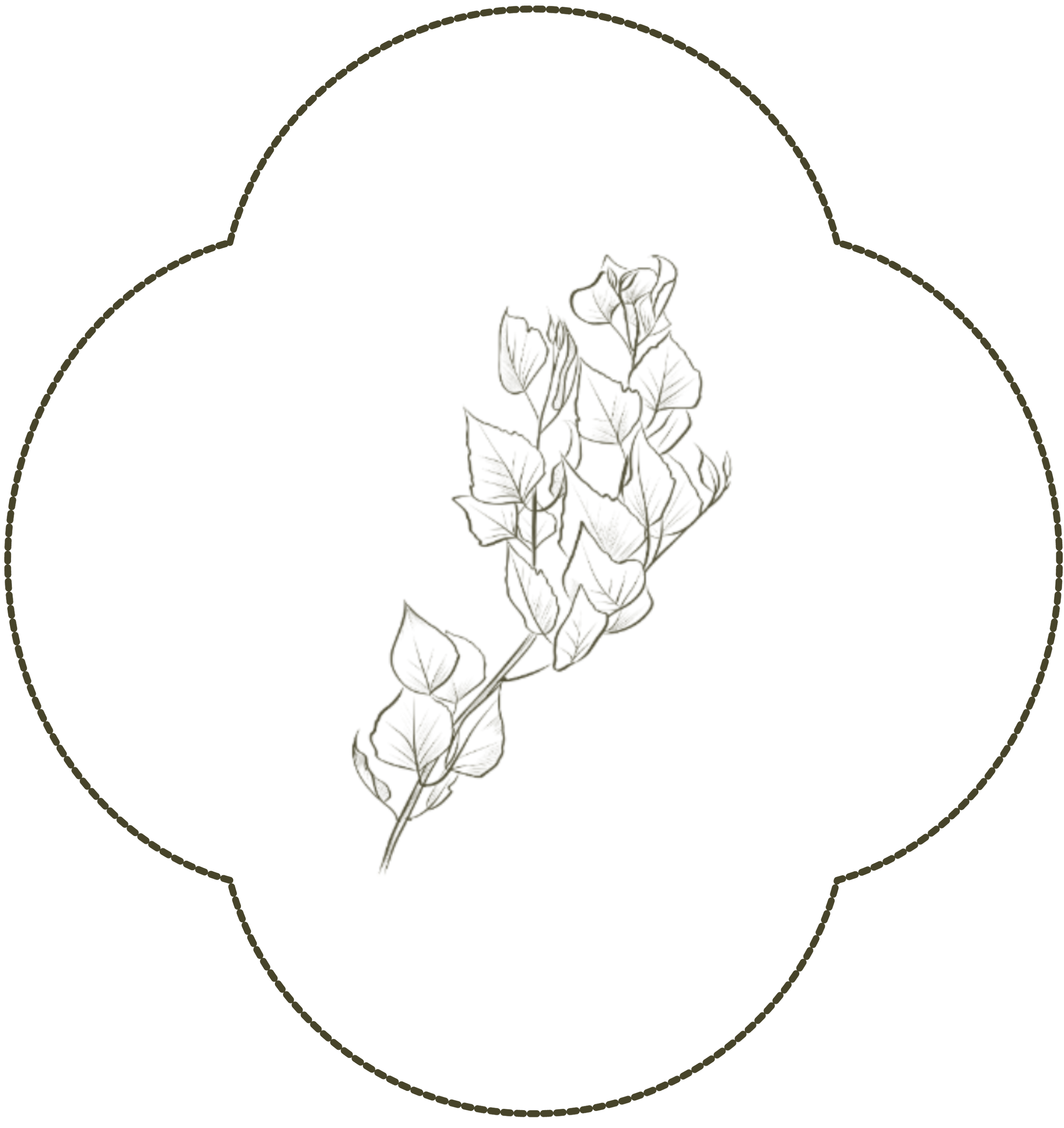 Line drawing of a potted plant inside a speech bubble outline.