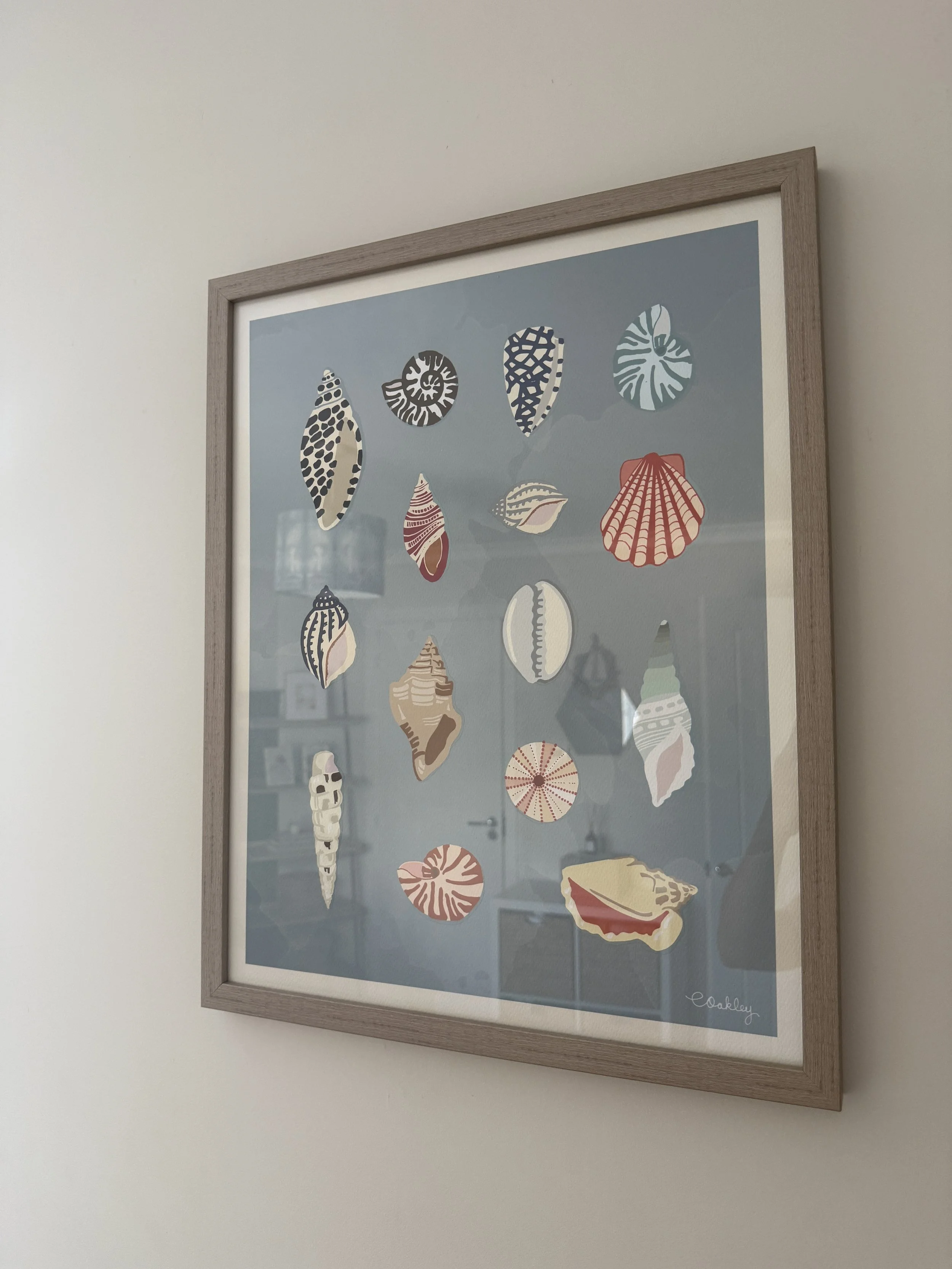 A framed art print showing various illustrated seashells on a blue background. The shells are in different shapes, sizes, and patterns, with some in beige, brown, red, and white colors. The artist's signature, 'Oakley,' is in the bottom right corner.