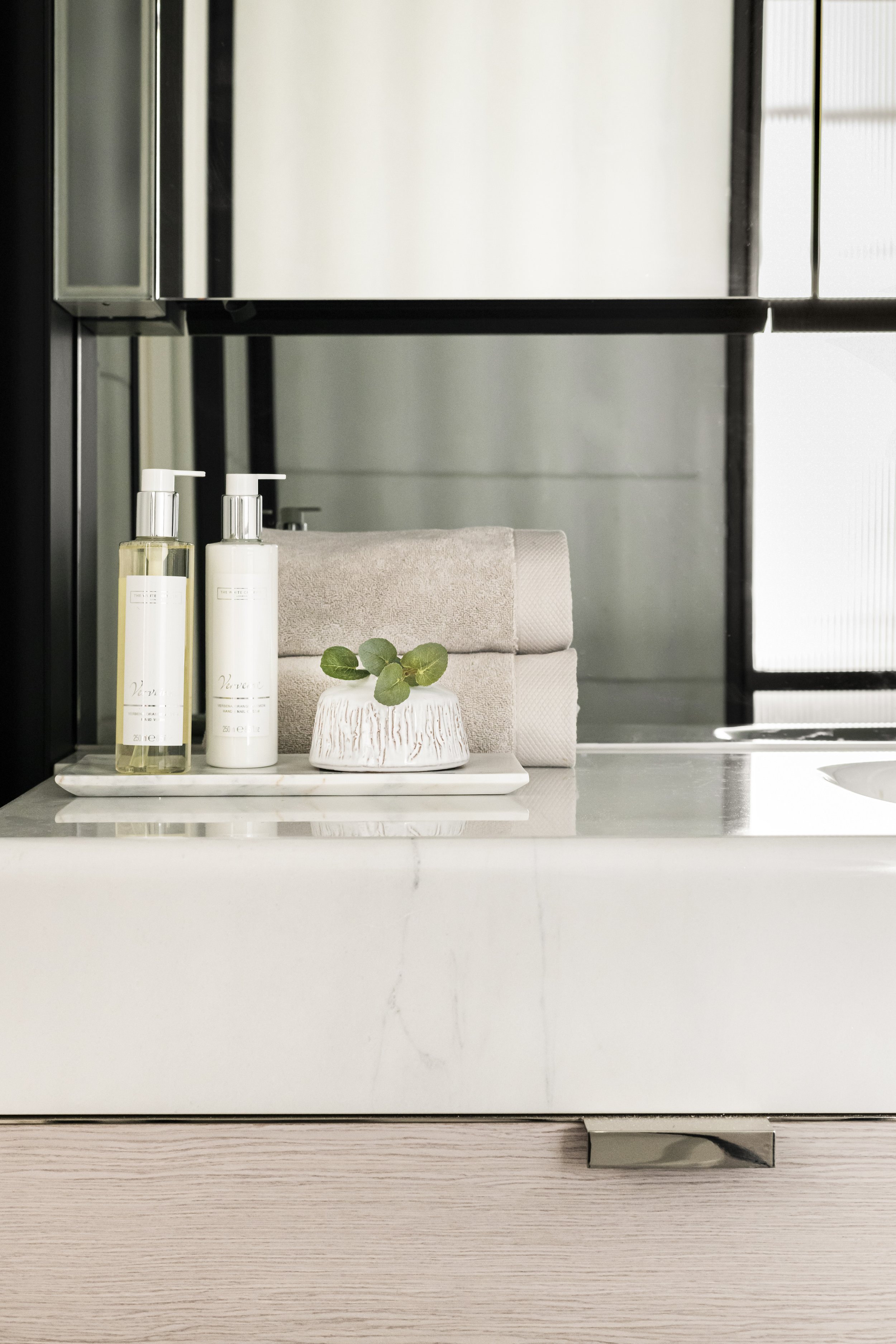 Bathroom countertop with hand soap, lotion, a small plant, and towels, mirror and shelves in the background